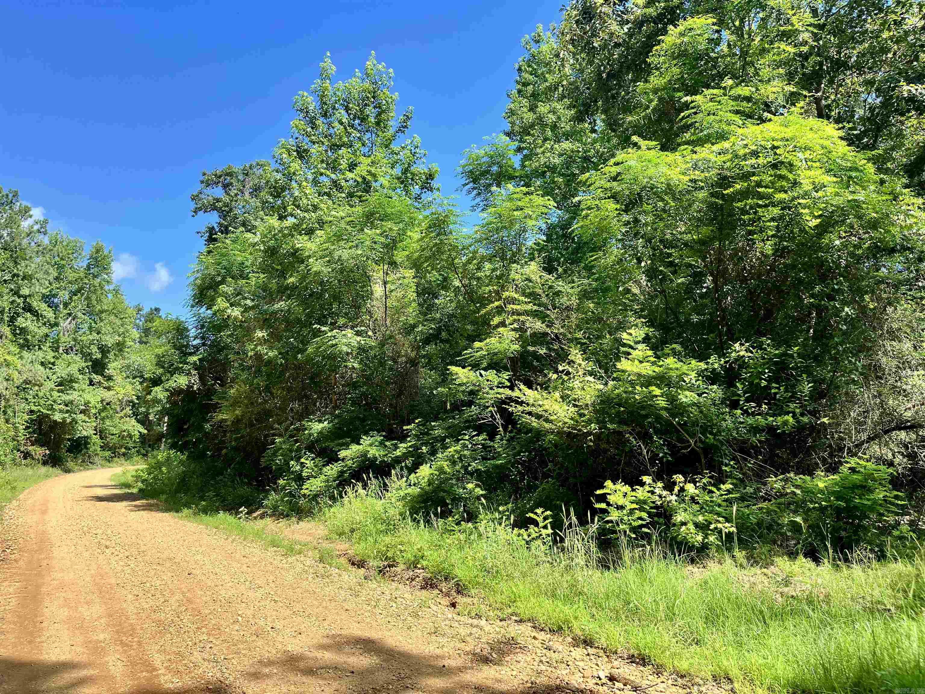 130 Dallas 216  Sparkman, AR