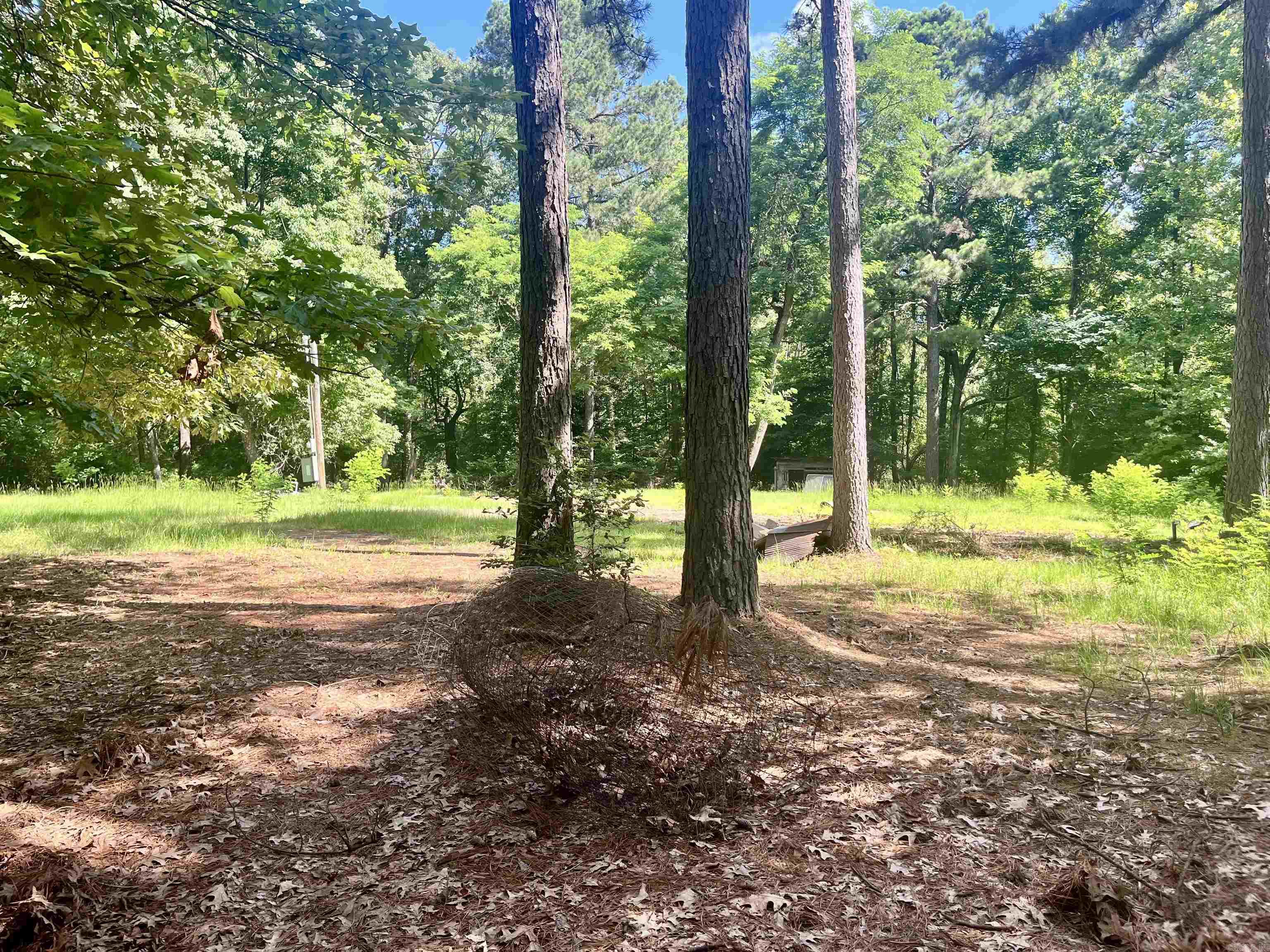 130 Dallas 216  Sparkman, AR