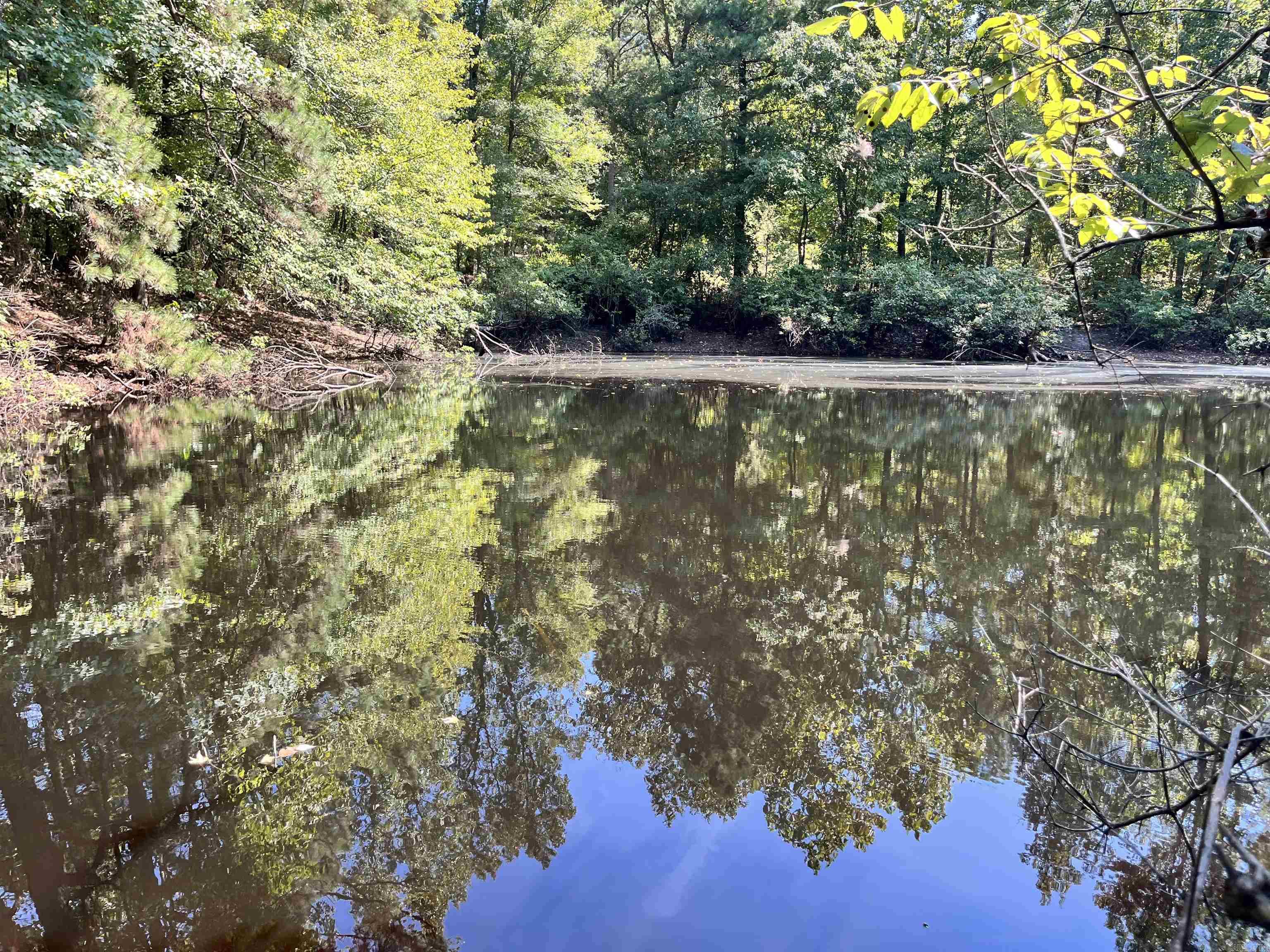130 Dallas 216  Sparkman, AR