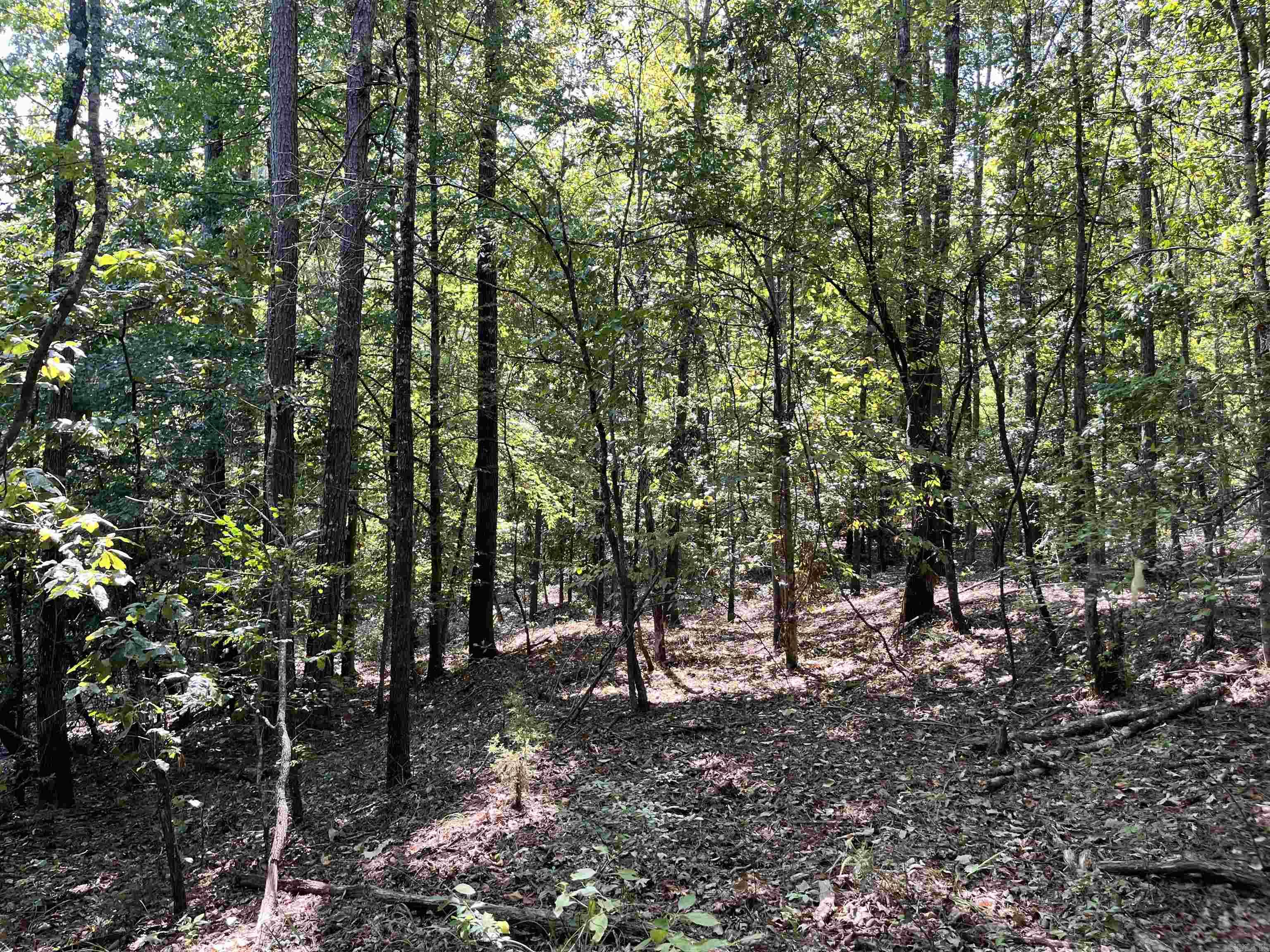 130 Dallas 216  Sparkman, AR
