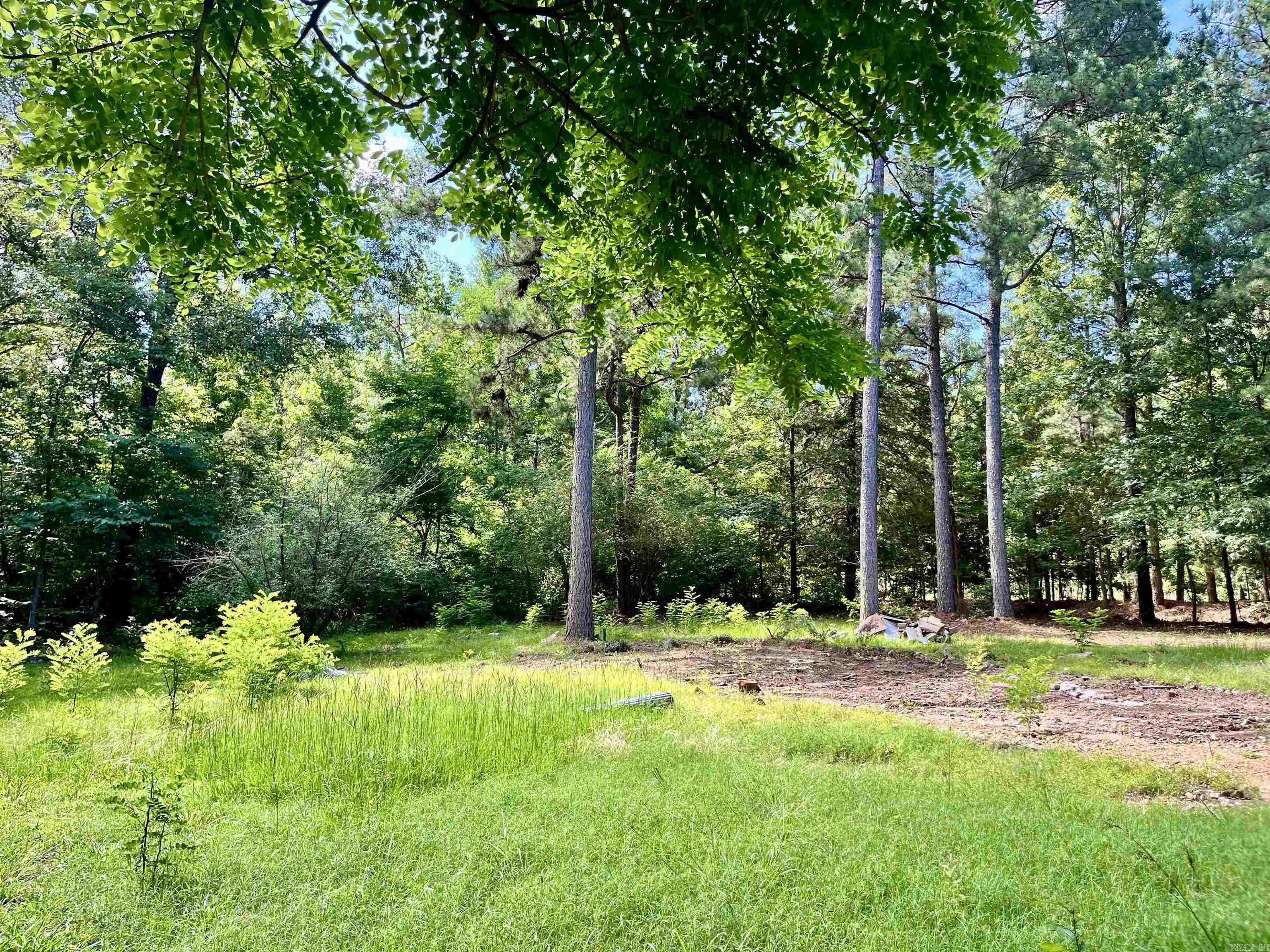 130 Dallas 216  Sparkman, AR