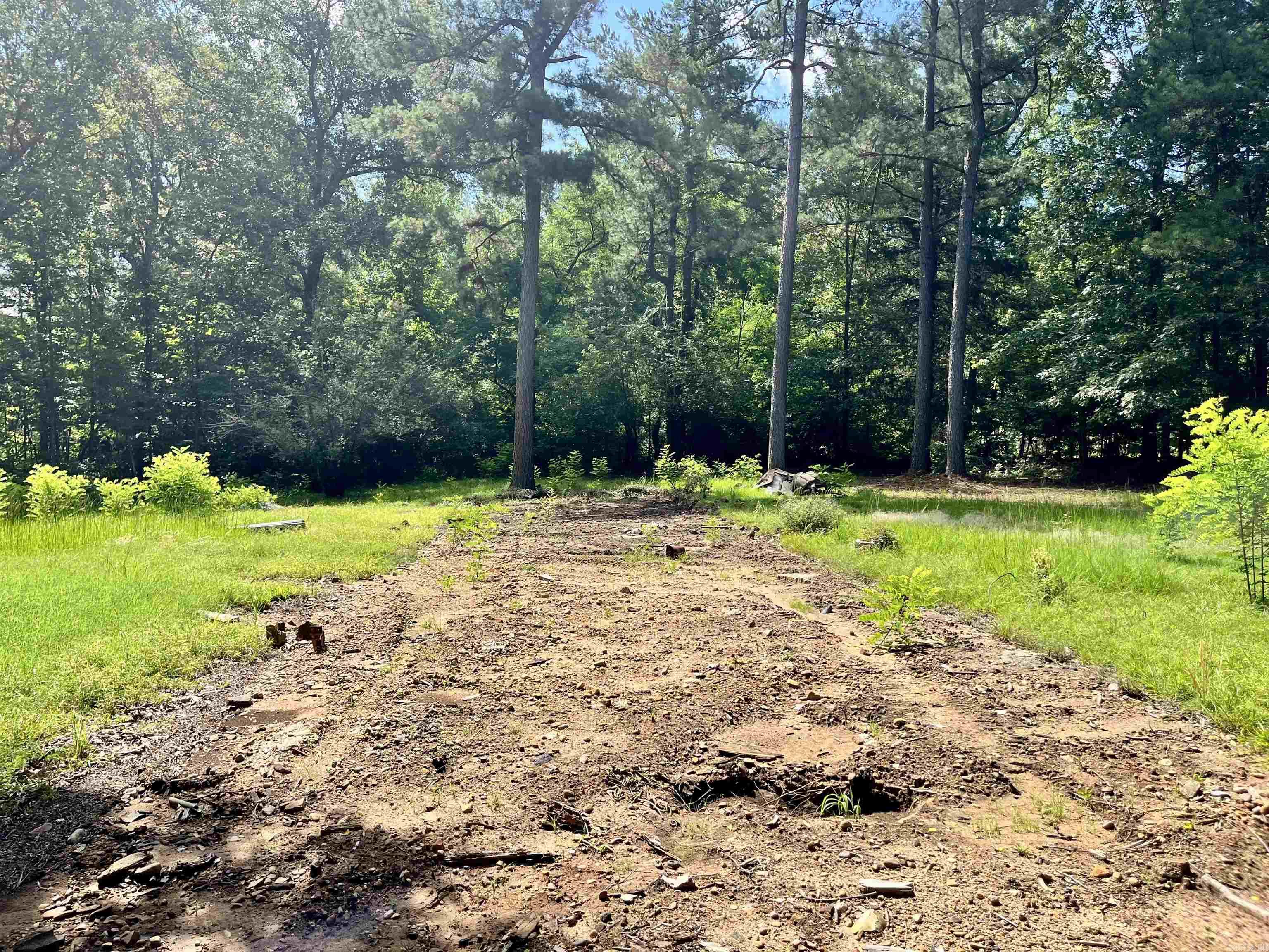 130 Dallas 216  Sparkman, AR