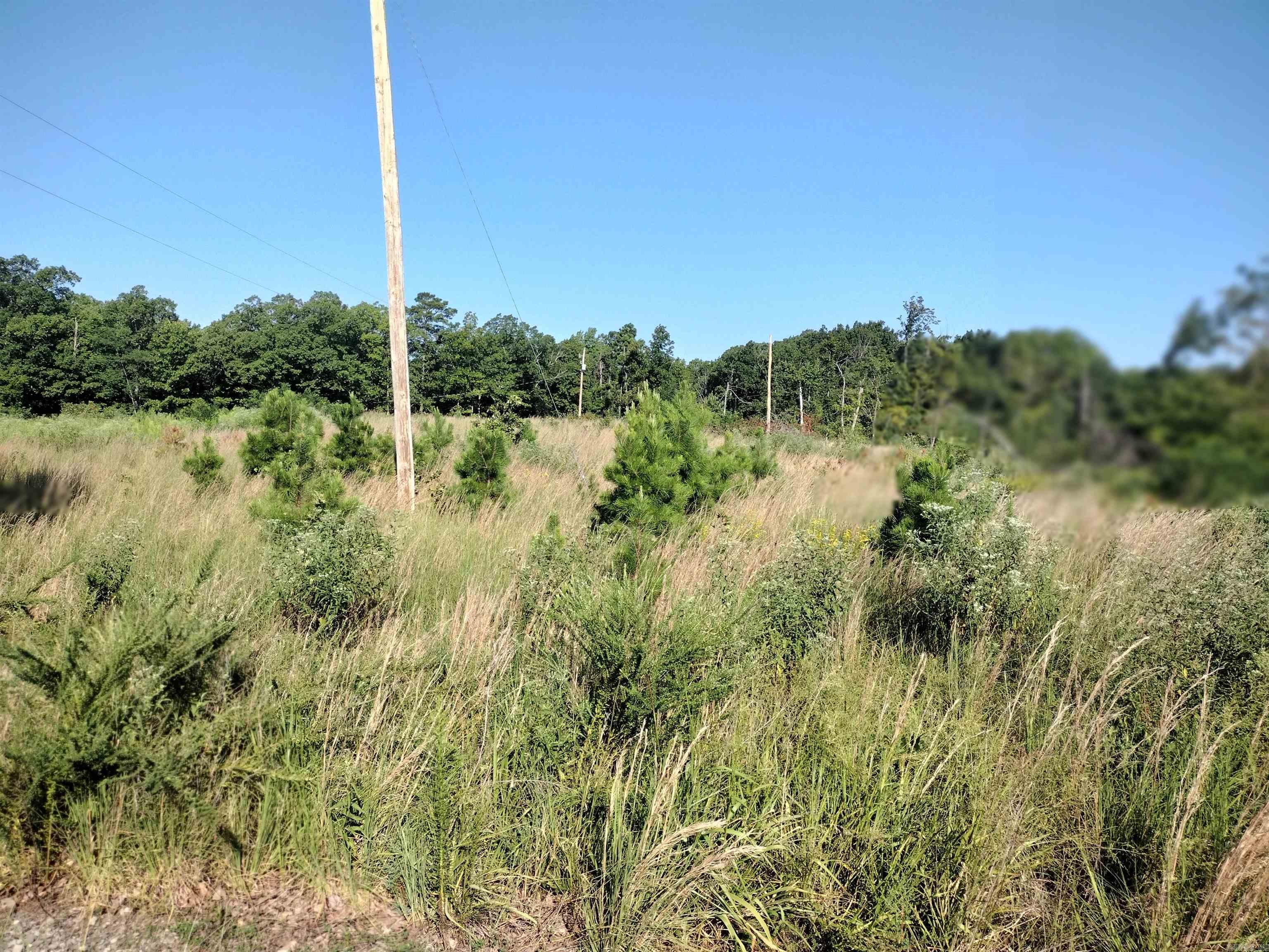 1700 Sutterfield RD  Fox, AR
