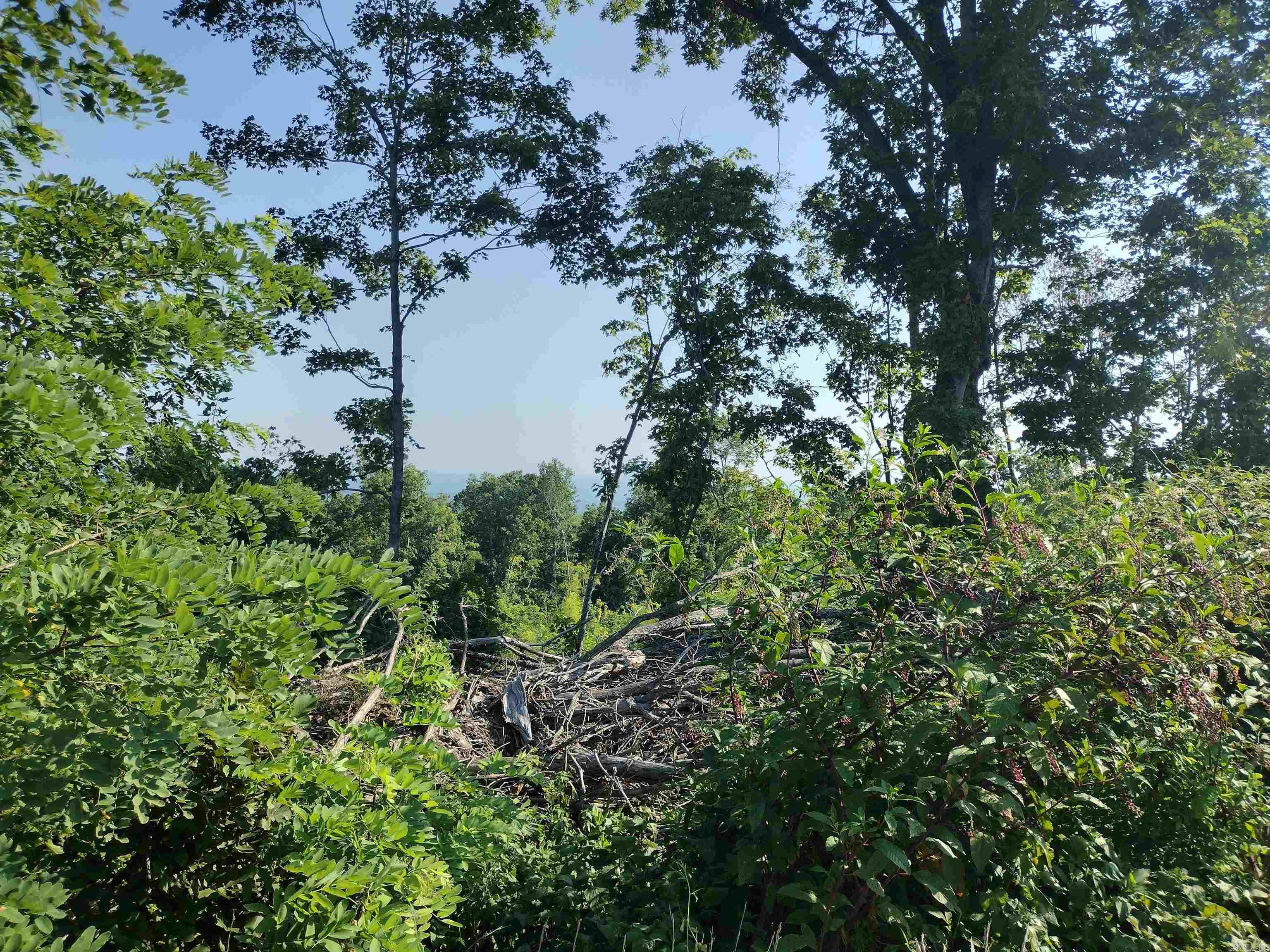 1700 Sutterfield RD  Fox, AR