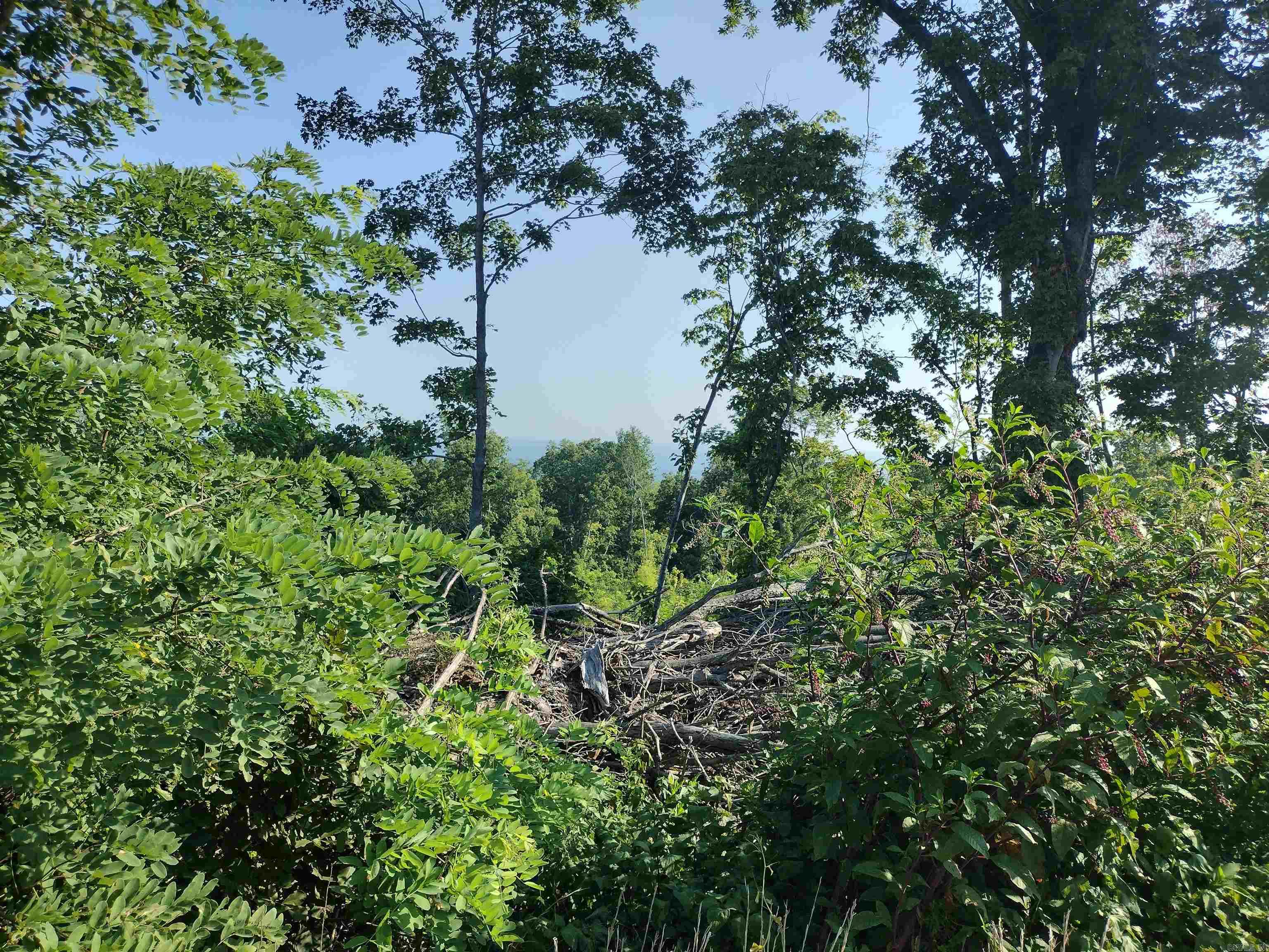 1700 Sutterfield RD  Fox, AR