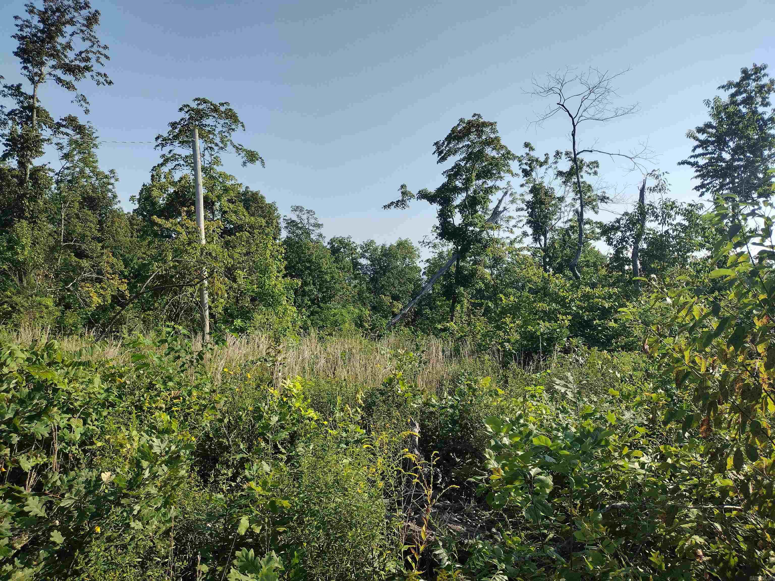 0000 Sutterfield  Fox, AR