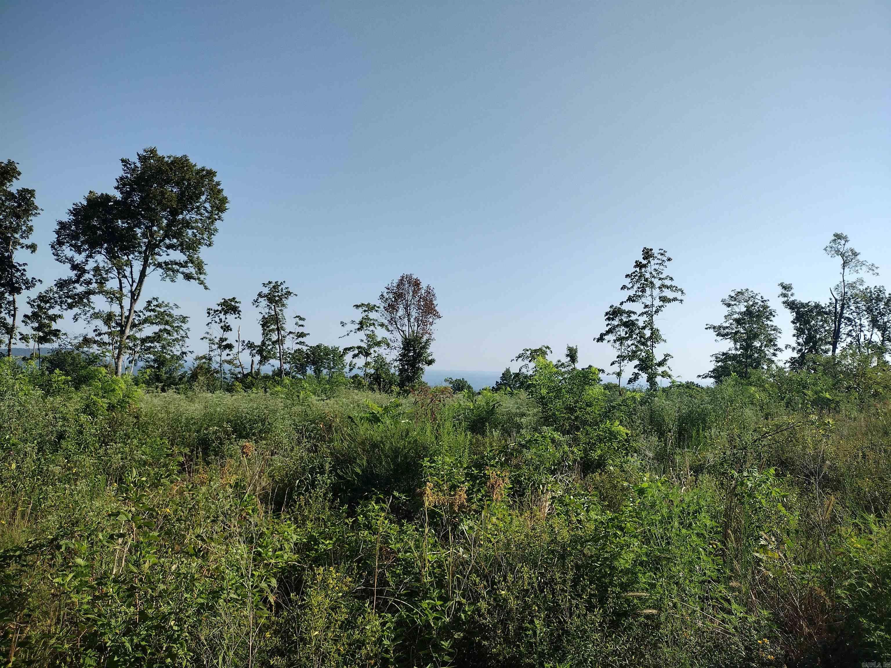 000 Sutterfield road  Fox, AR