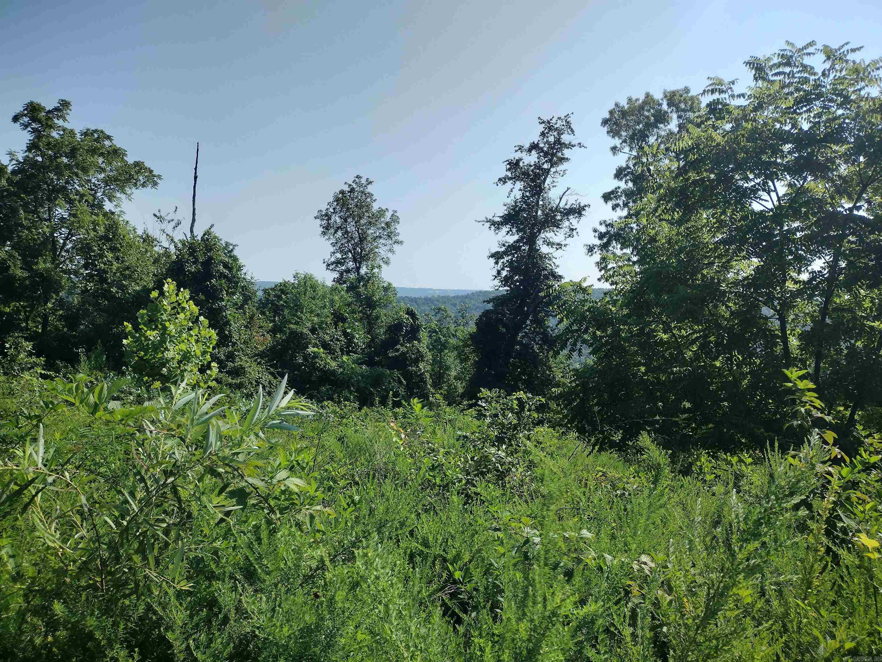 0 Sutterfield road  Fox, AR