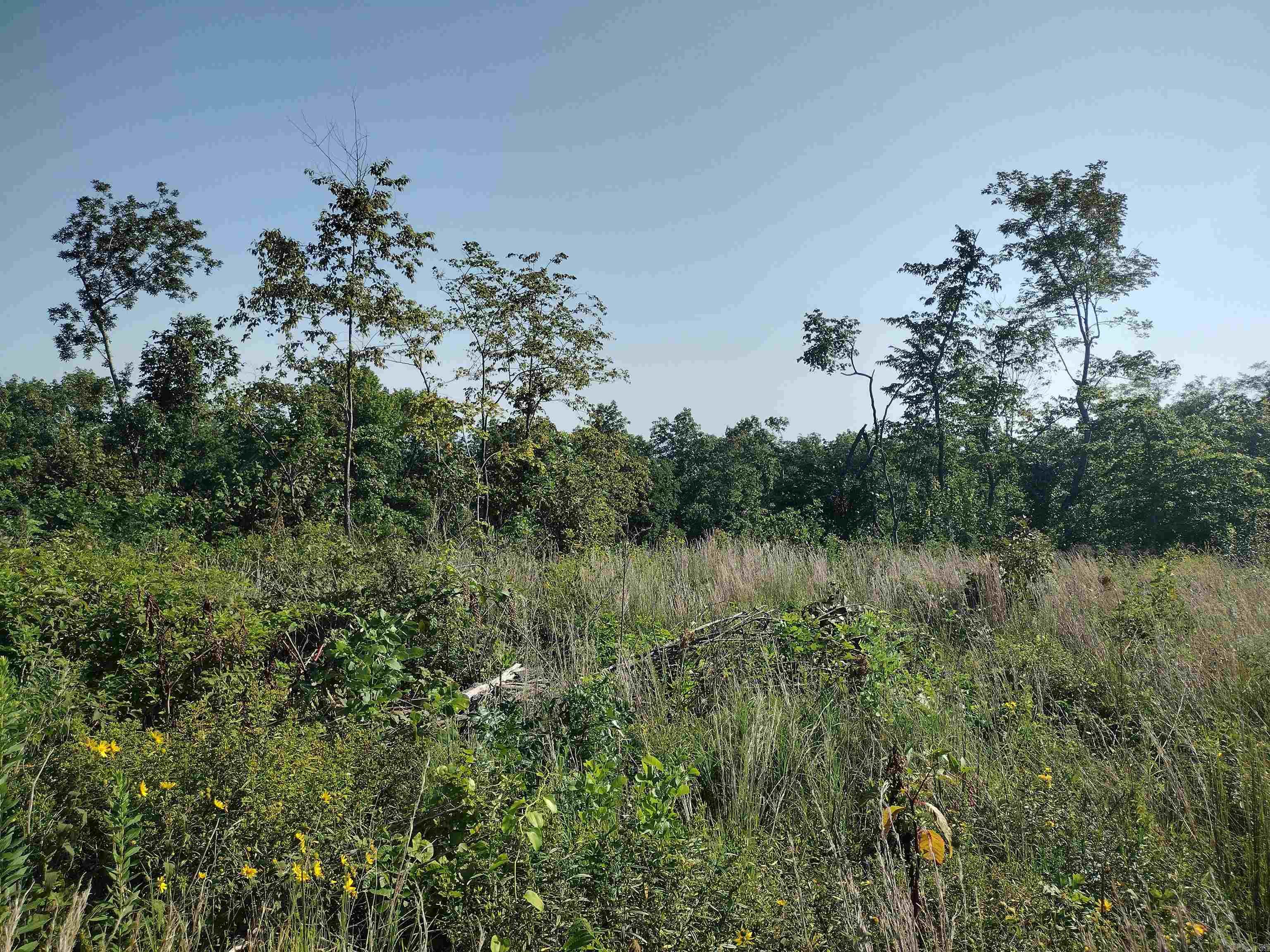 0 Sutterfield road  Fox, AR