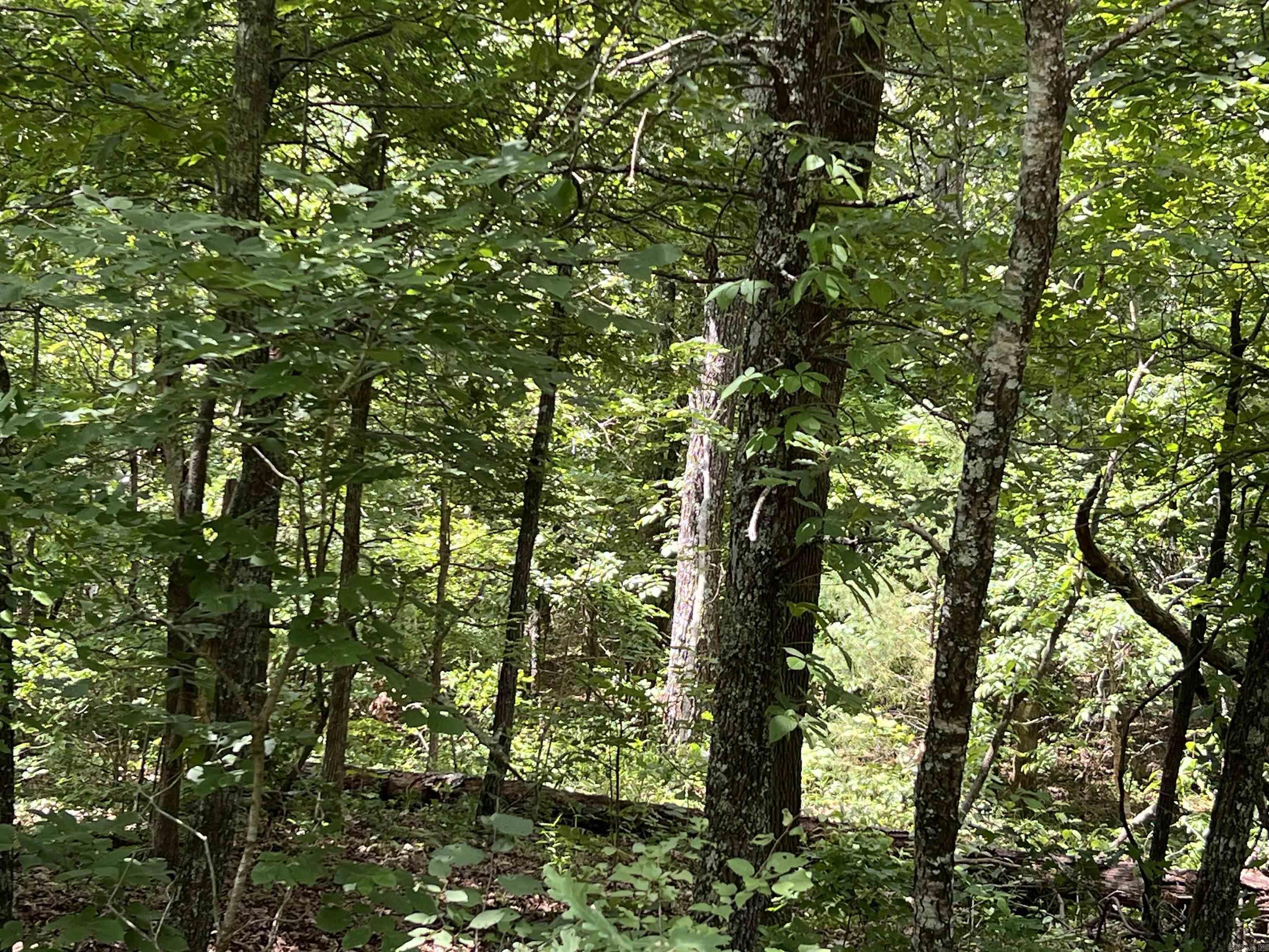000 PR off Ridge Haven  Mammoth Spring, AR