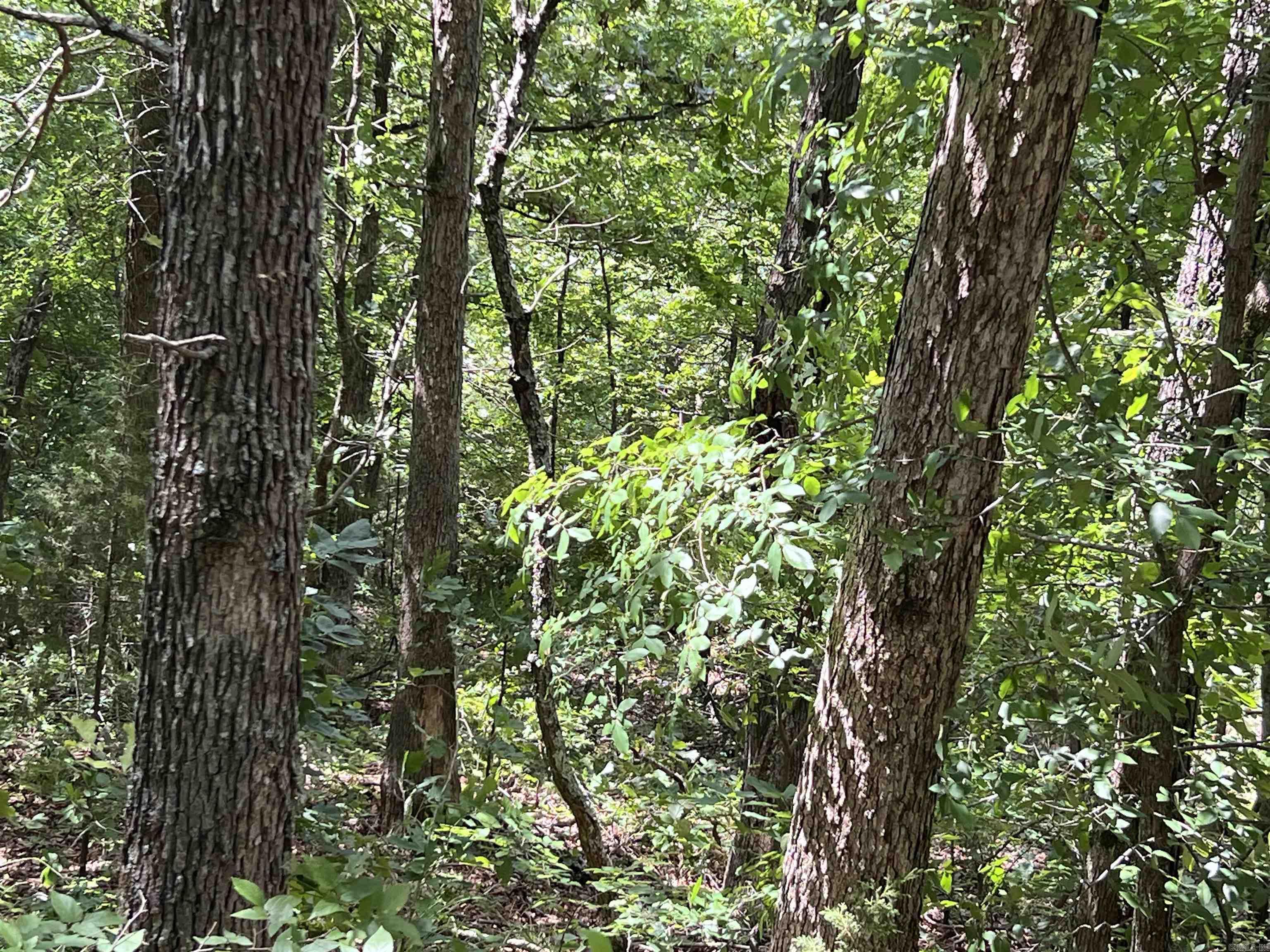 000 PR off Ridge Haven  Mammoth Spring, AR