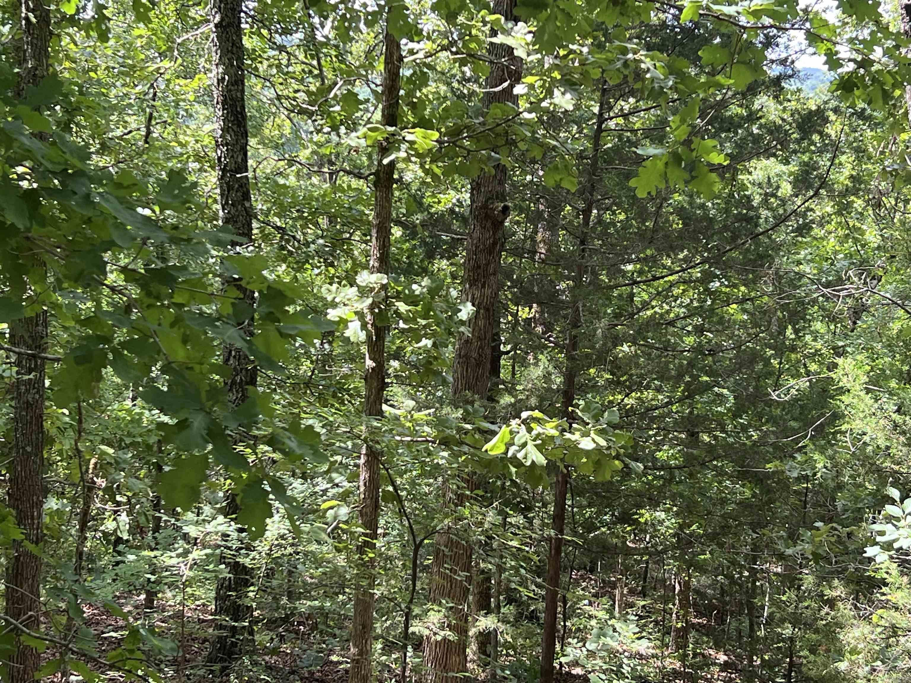 000 PR off Ridge Haven  Mammoth Spring, AR