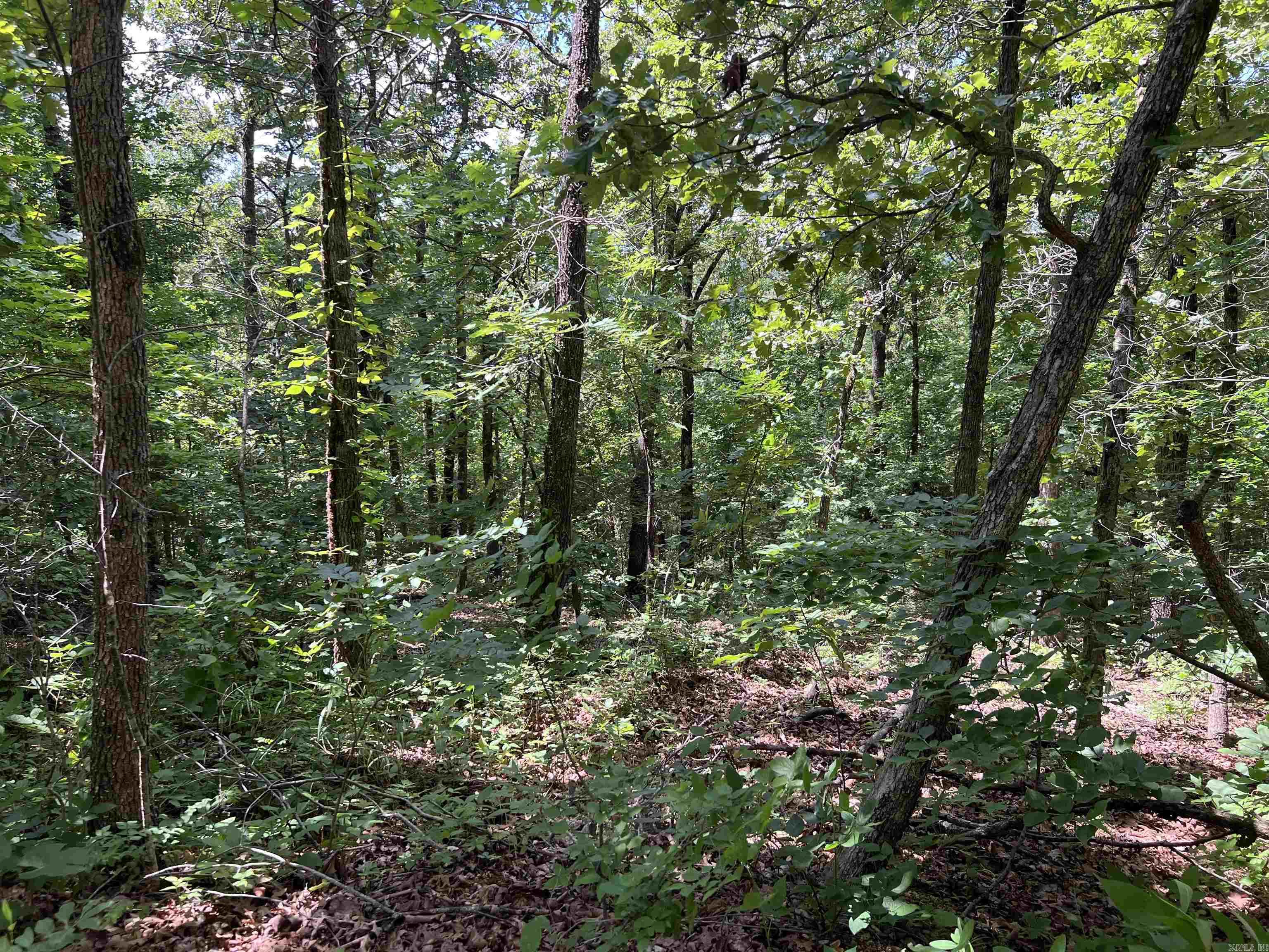 000 PR off Ridge Haven  Mammoth Spring, AR