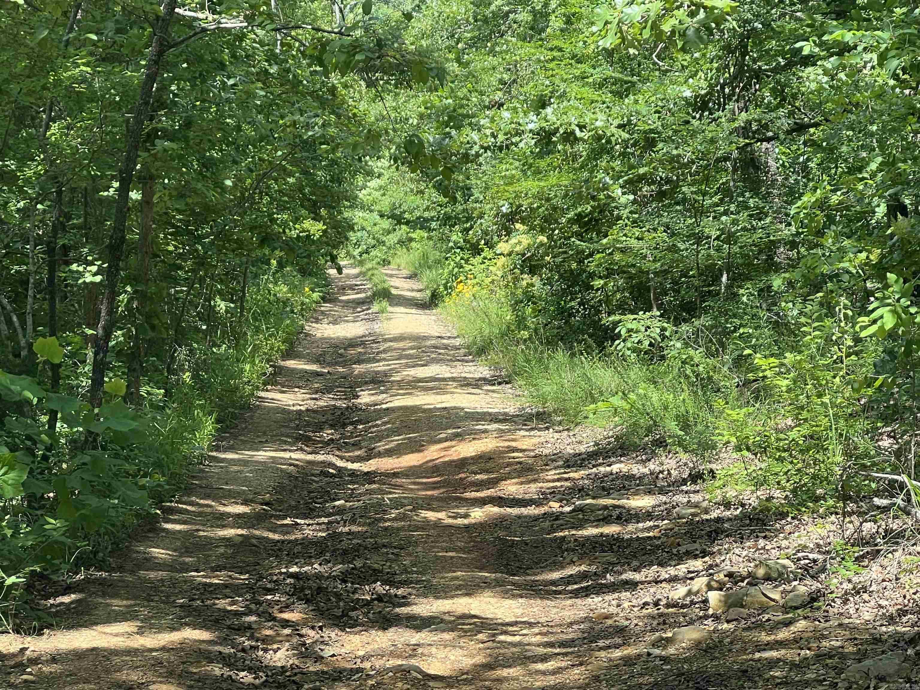 000 PR off Ridge Haven  Mammoth Spring, AR