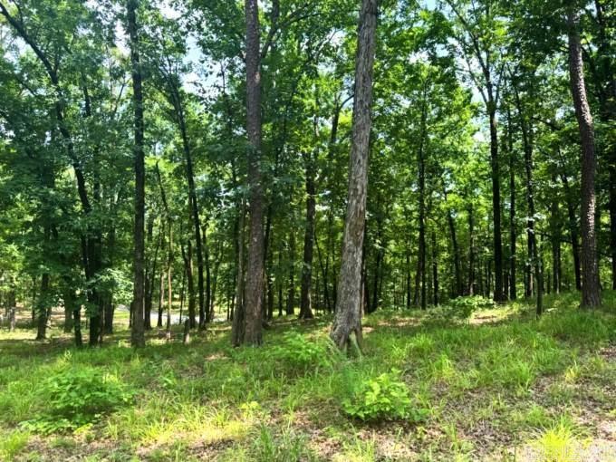 133 Bethesda Ridge  Mena, AR