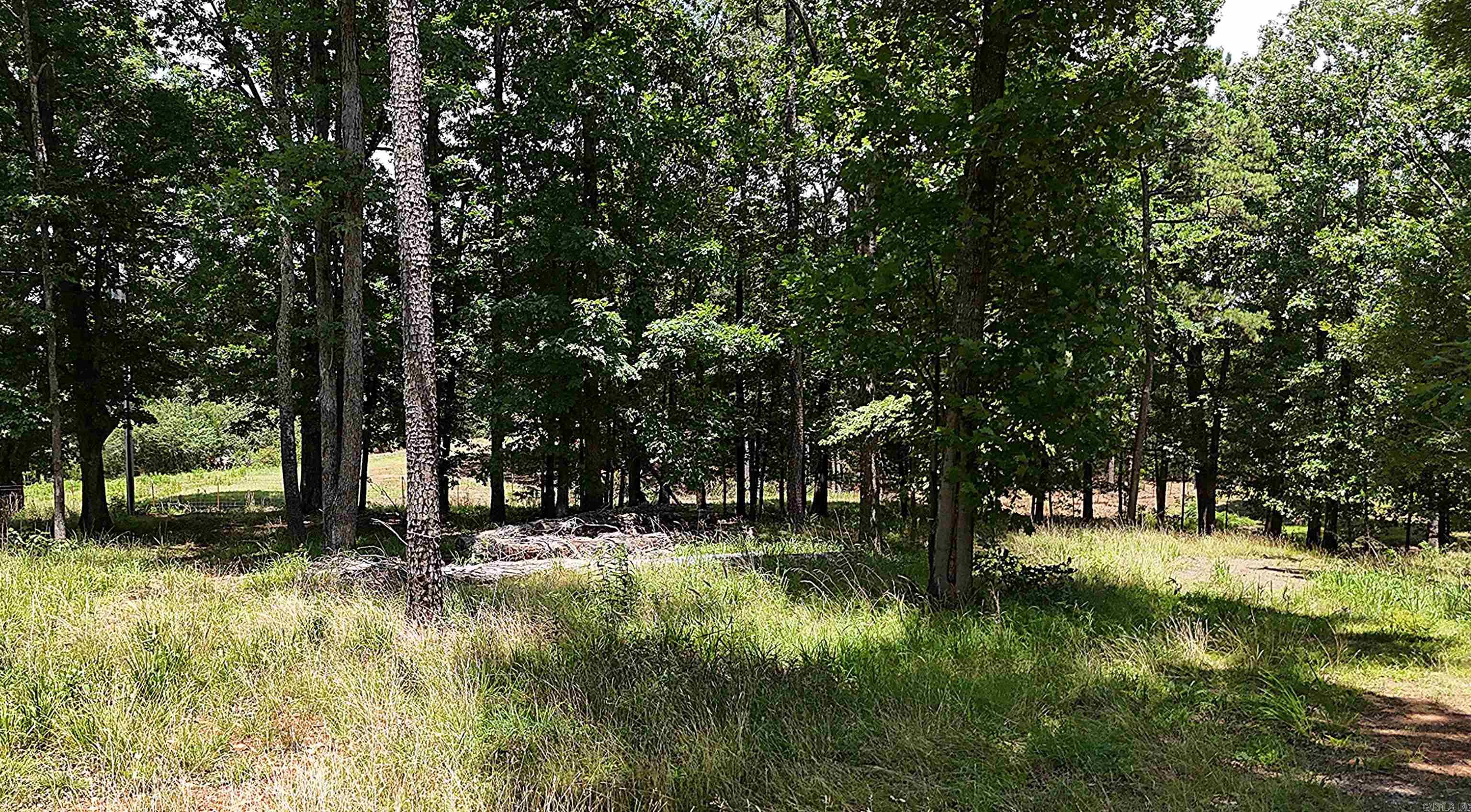 133 Bethesda Ridge  Mena, AR