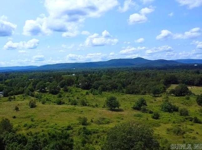 133 Bethesda Ridge  Mena, AR