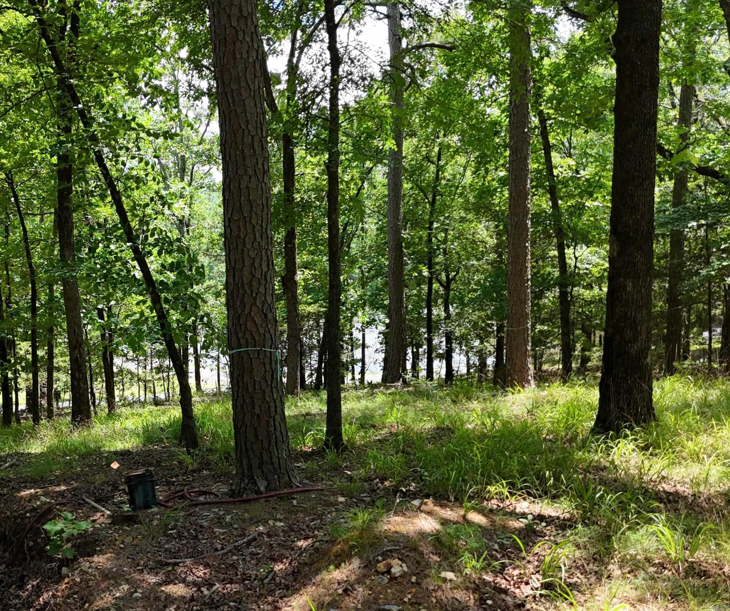 133 Bethesda Ridge  Mena, AR