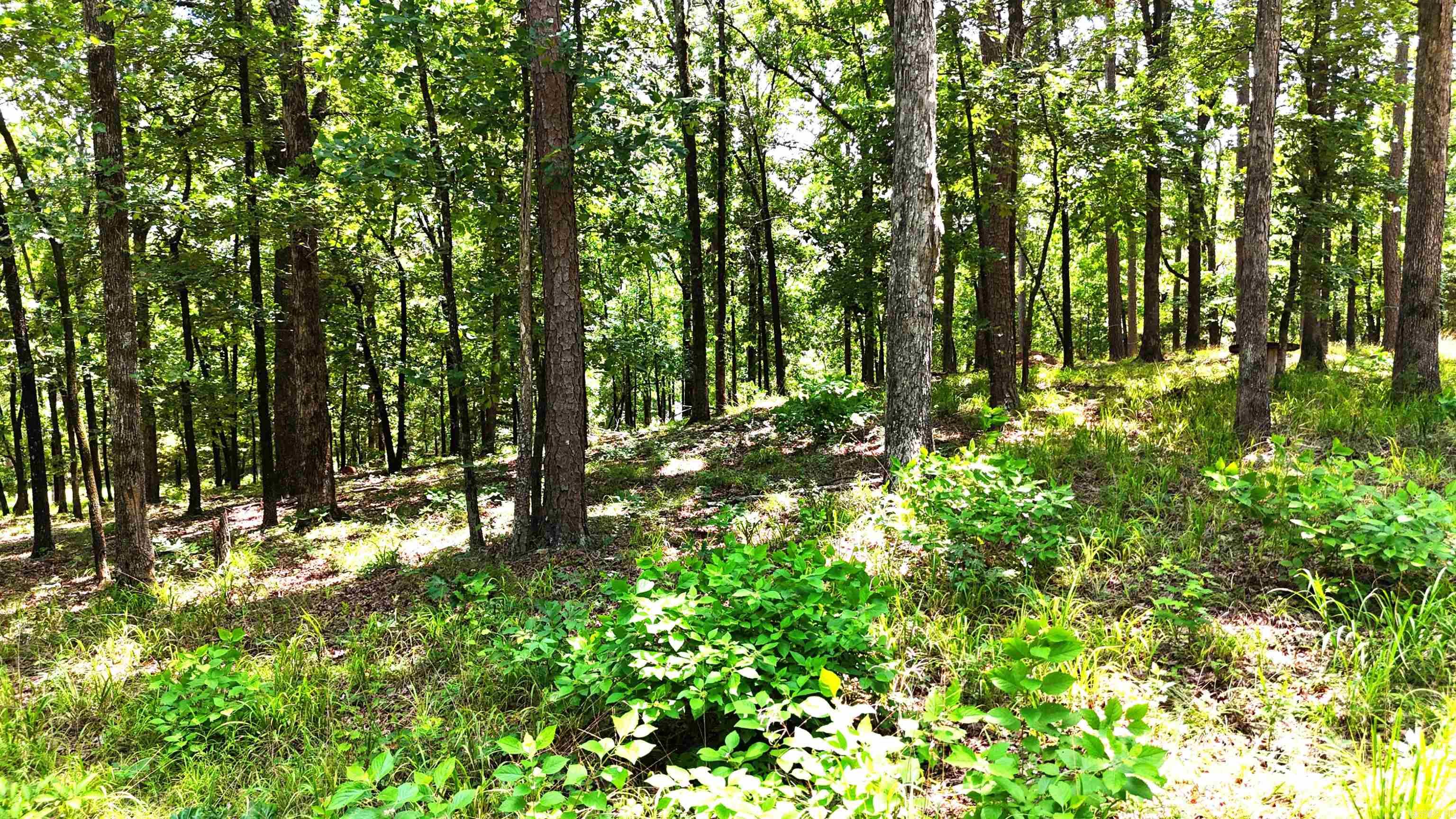 133 Bethesda Ridge  Mena, AR