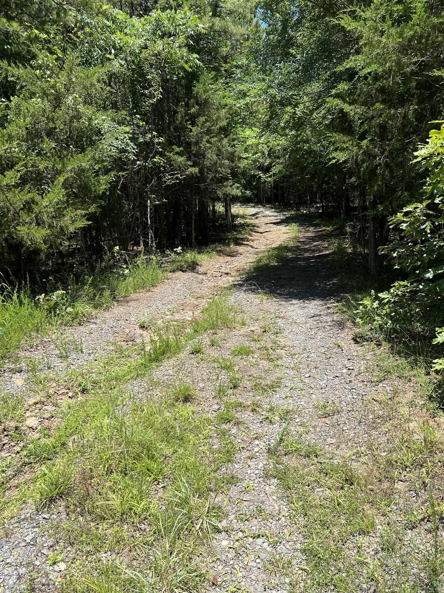 196 Zoe ln  Clinton, AR