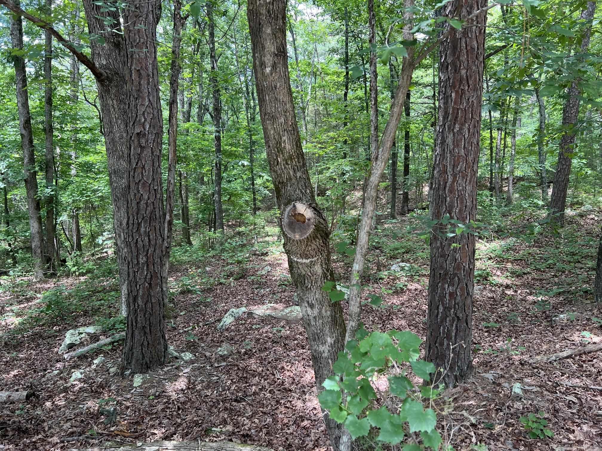 00 Rock Hill Road  Fairfield Bay, AR