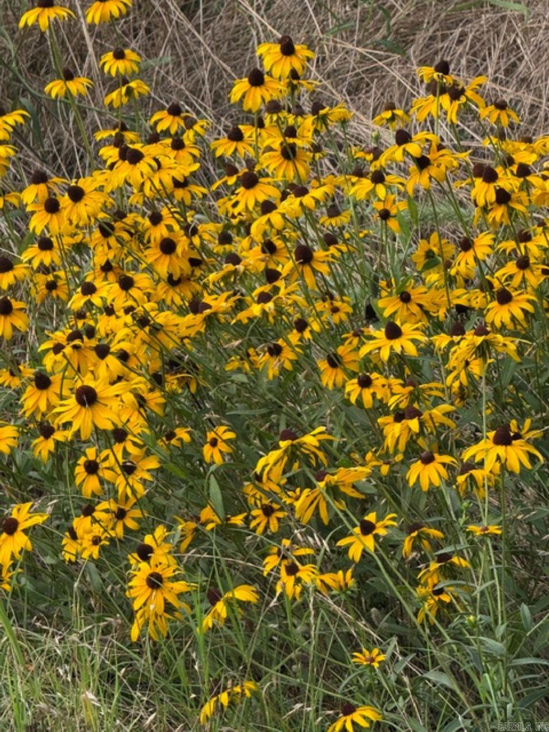 TBD Highway 128  Bismarck, AR