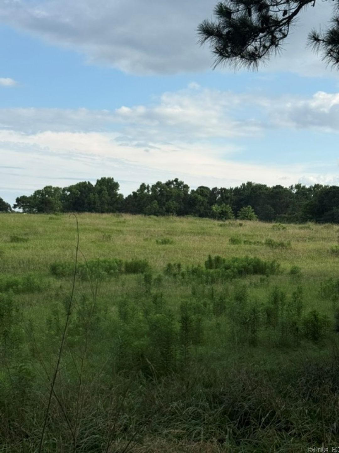 TBD Highway 128  Bismarck, AR