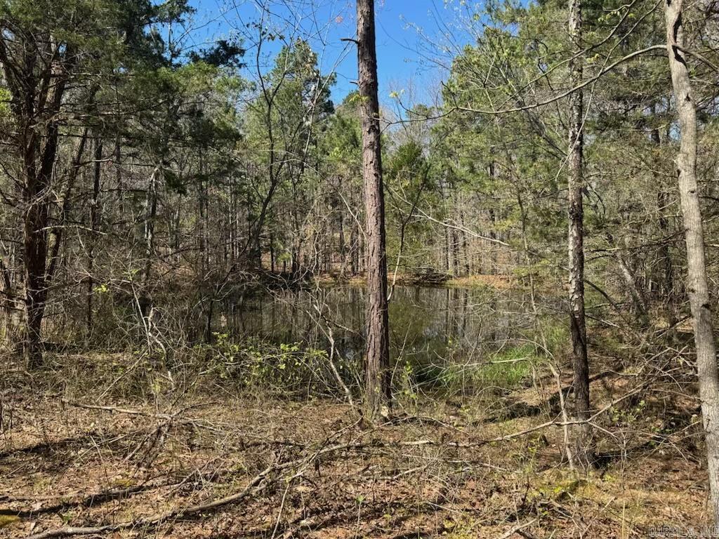 653 Blair  Shirley, AR