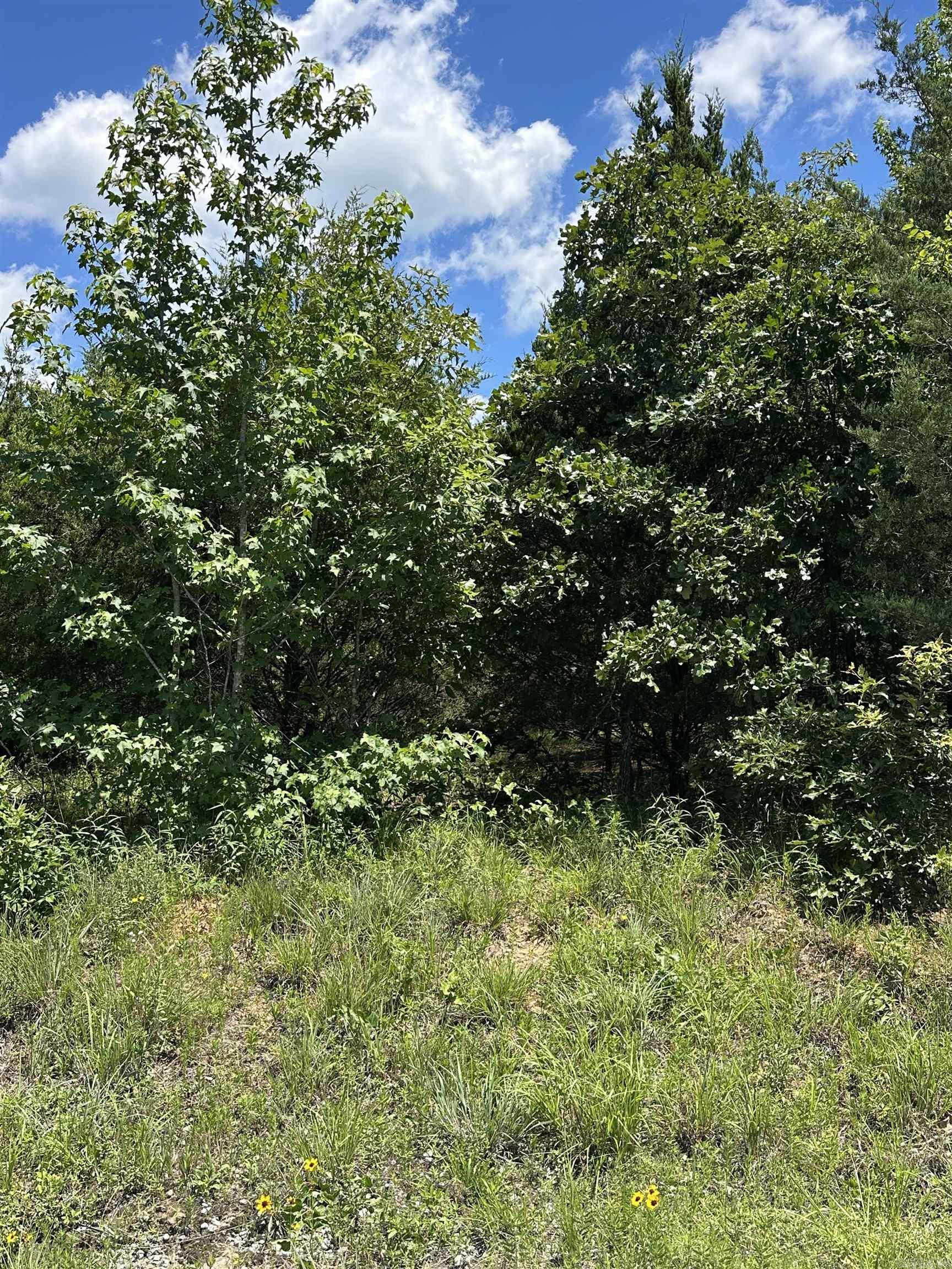 212 Byars Road  Beebe, AR