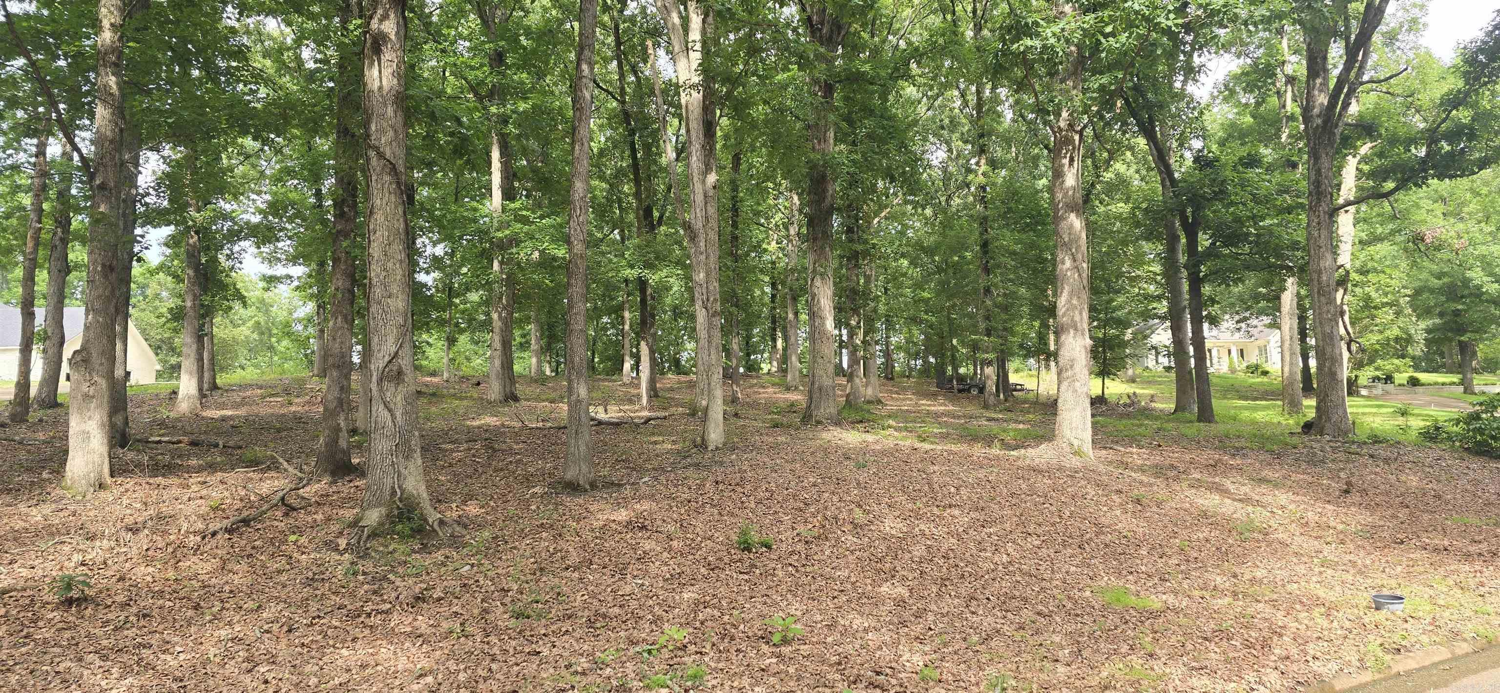  Kerry Dr  Wynne, AR