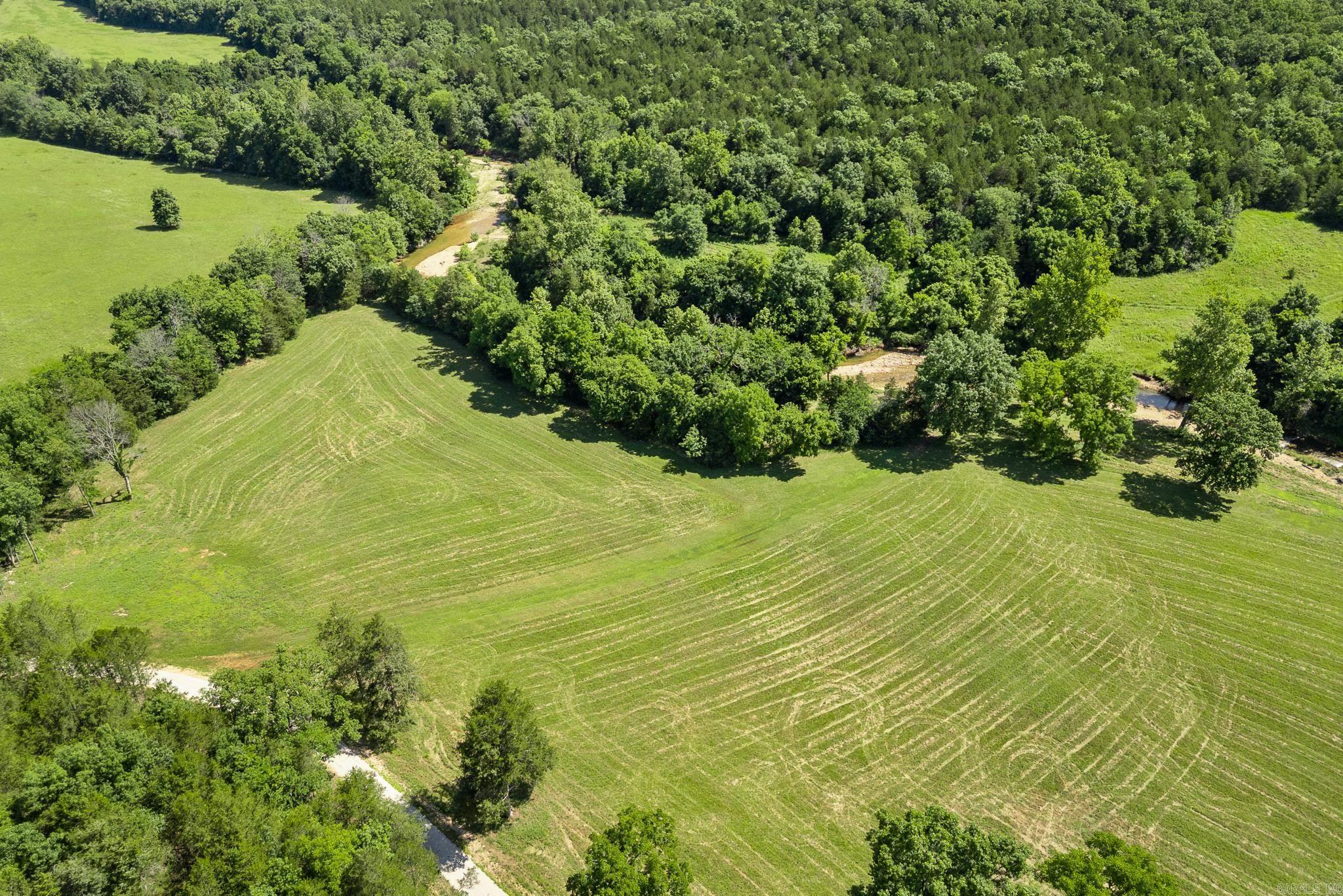13136 N Cedar Grove  Lead Hill, AR