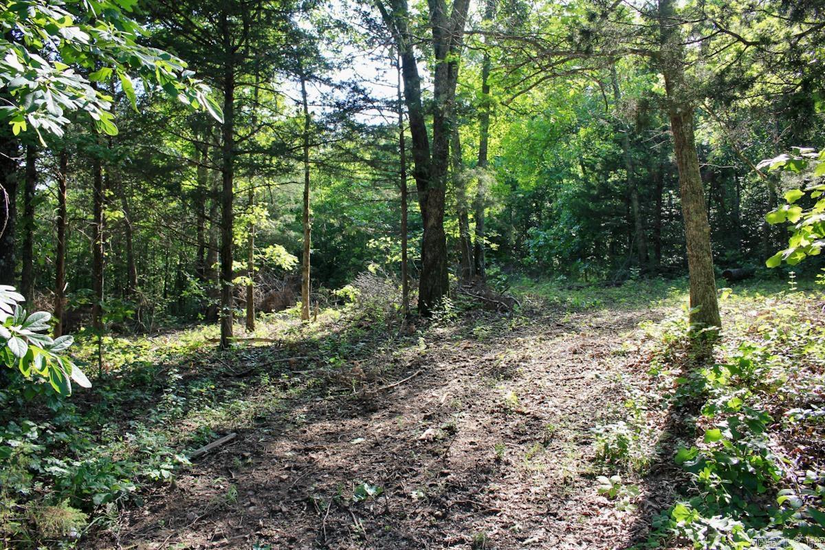 106 MC 3046  Yellville, AR