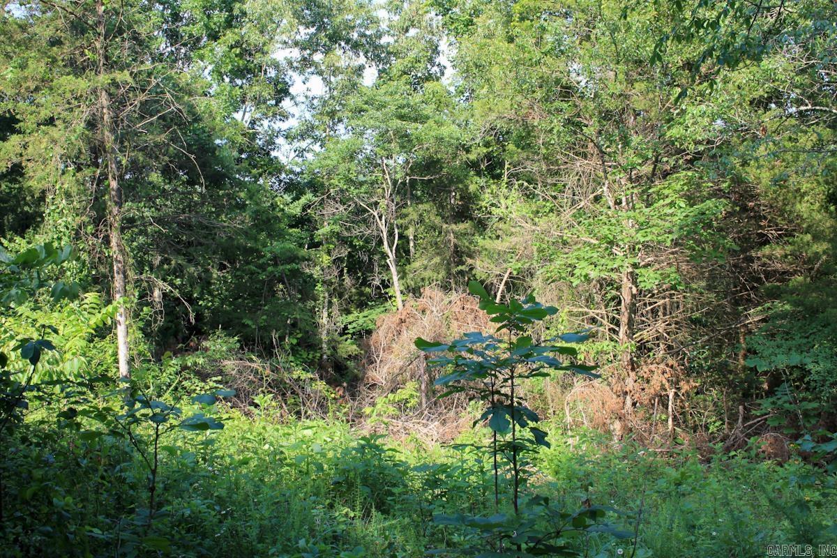 106 MC 3046  Yellville, AR