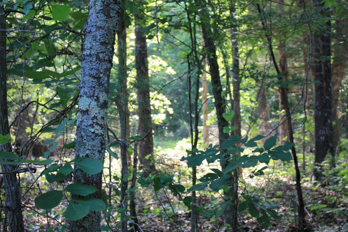106 MC 3046  Yellville, AR