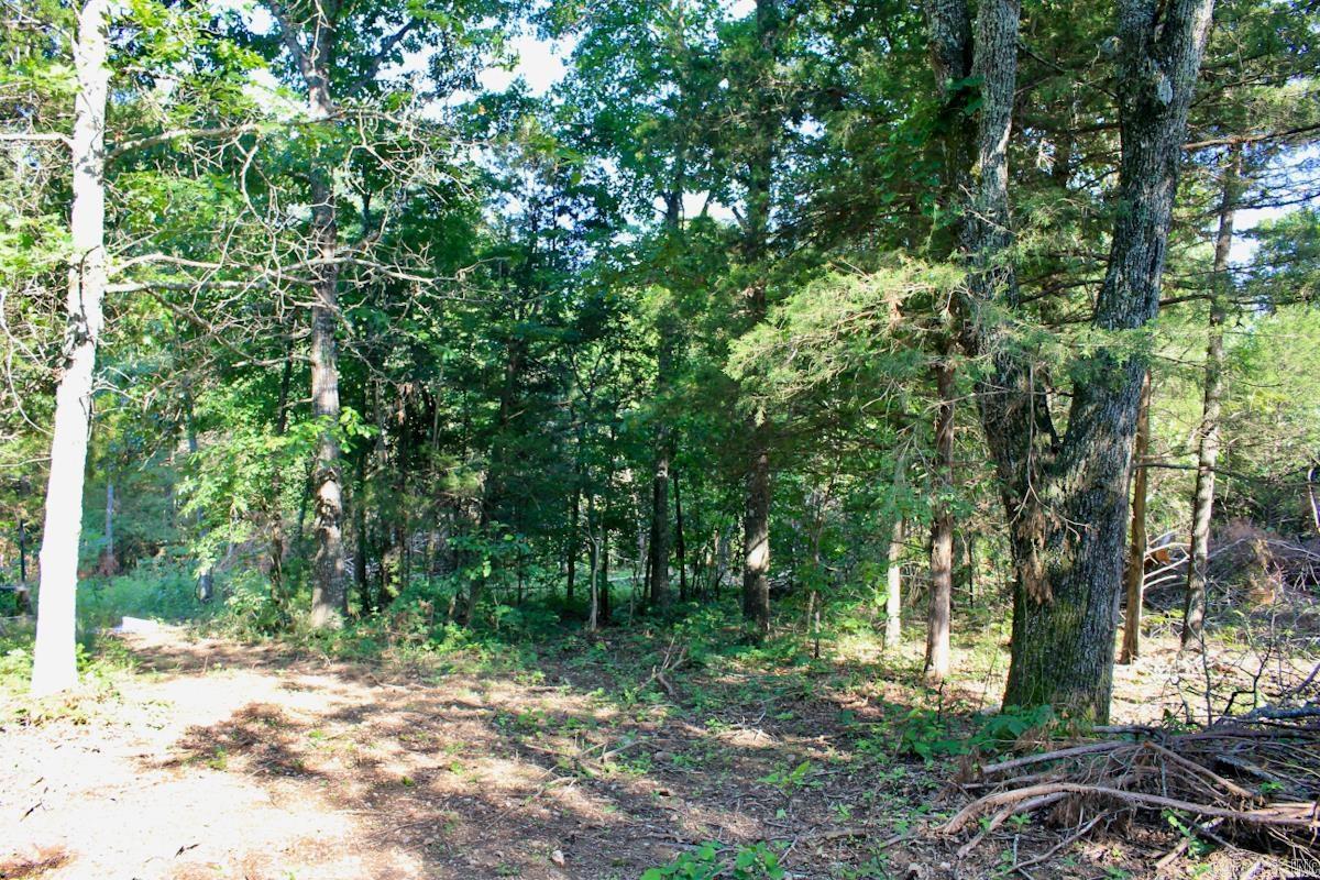 106 MC 3046  Yellville, AR