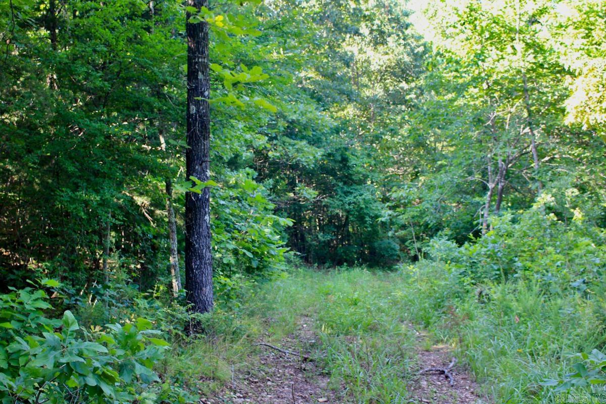 106 MC 3046  Yellville, AR