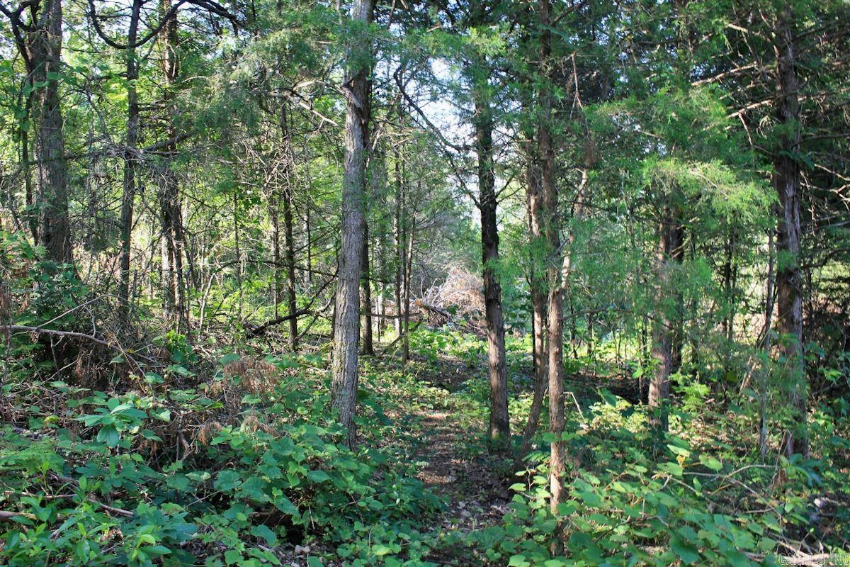 106 MC 3046  Yellville, AR