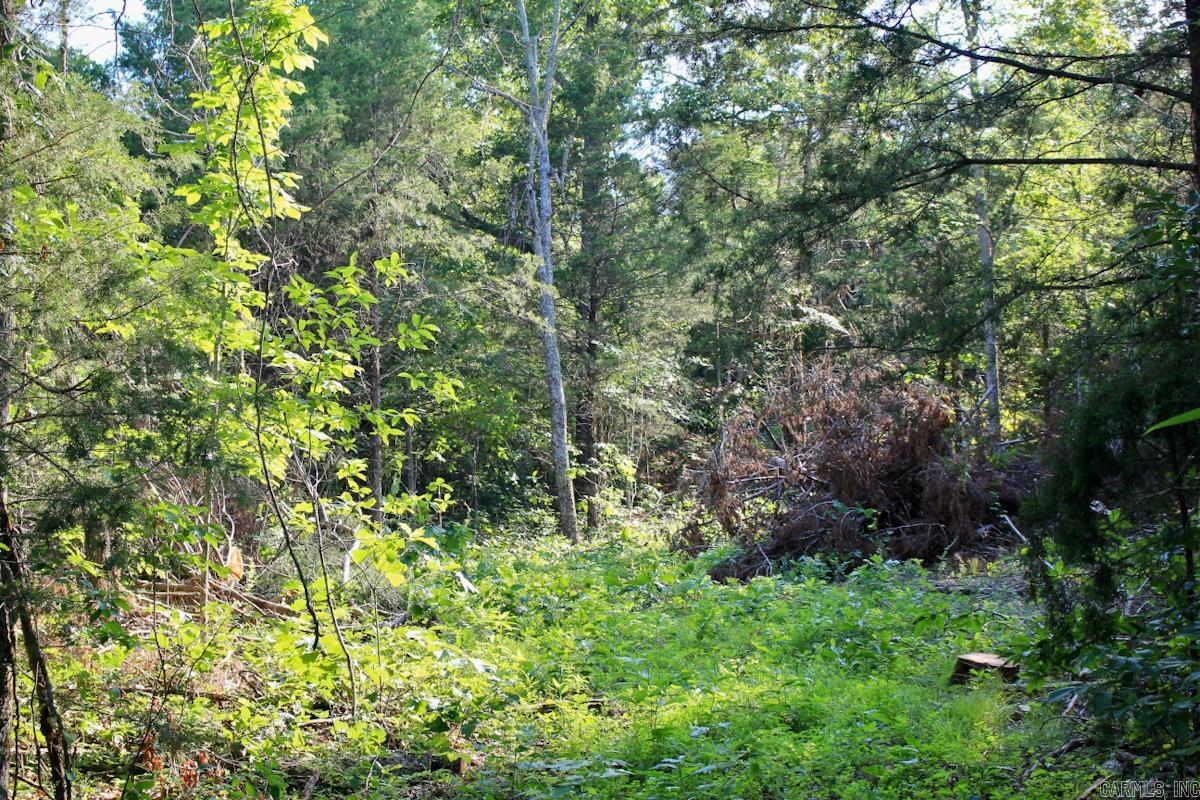 106 MC 3046  Yellville, AR