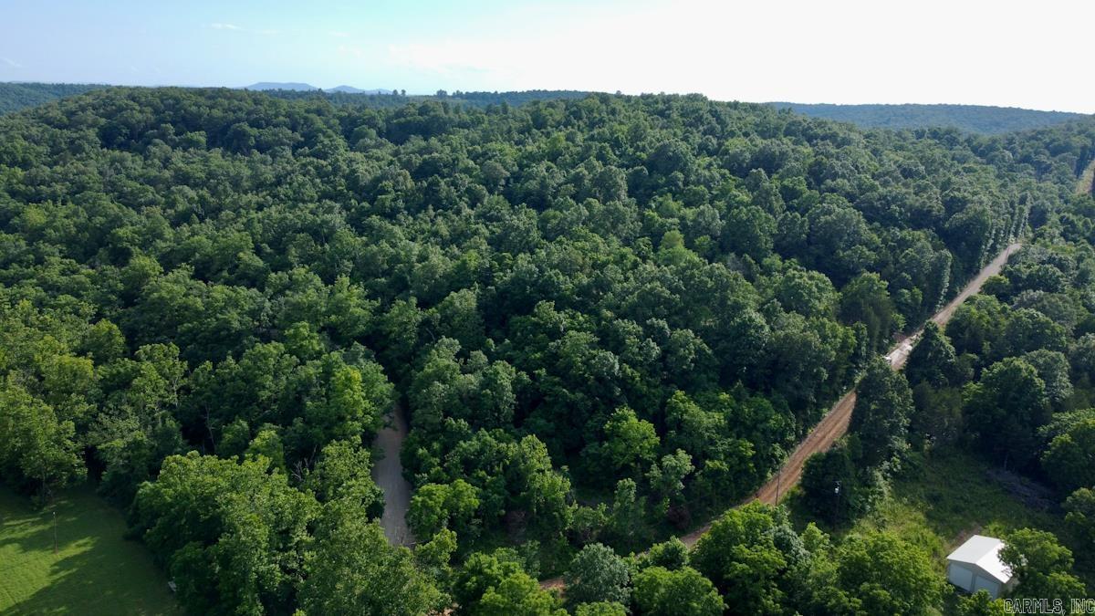 106 MC 3046  Yellville, AR