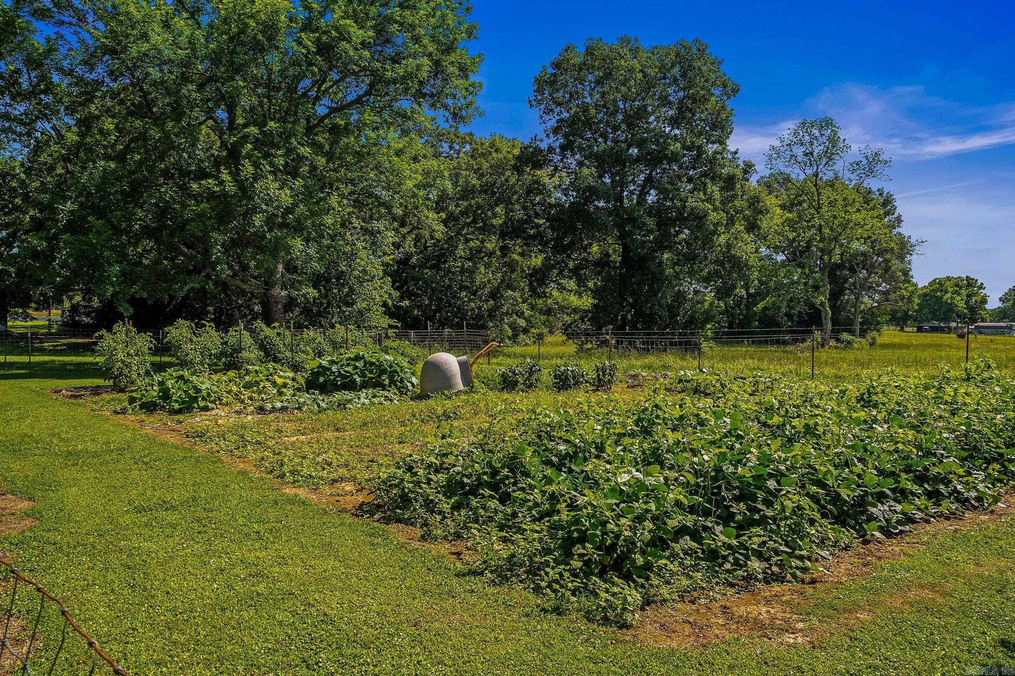 229 Linder  Greenbrier, AR