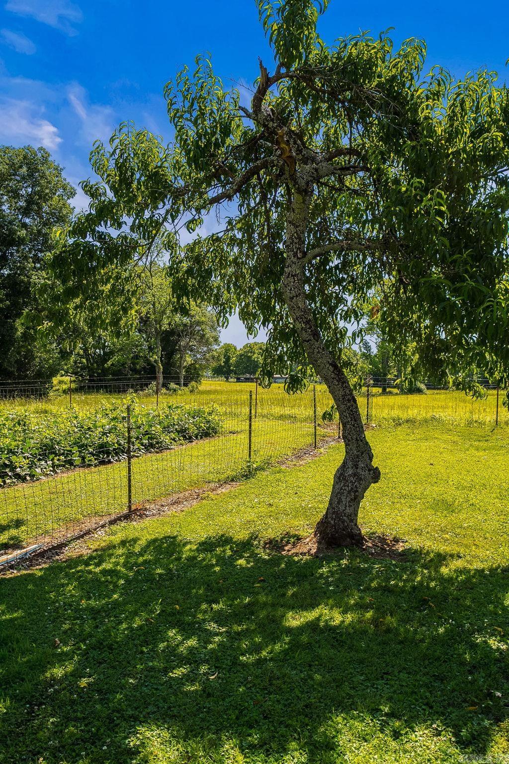 229 Linder  Greenbrier, AR