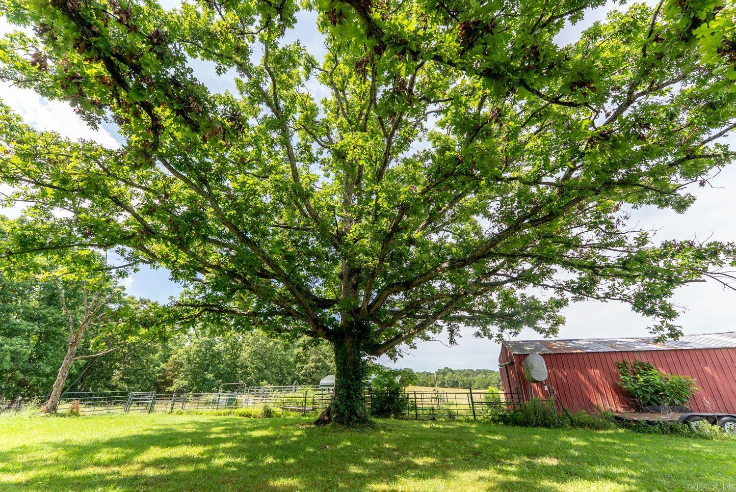 2804 Amon  Summersville, MO