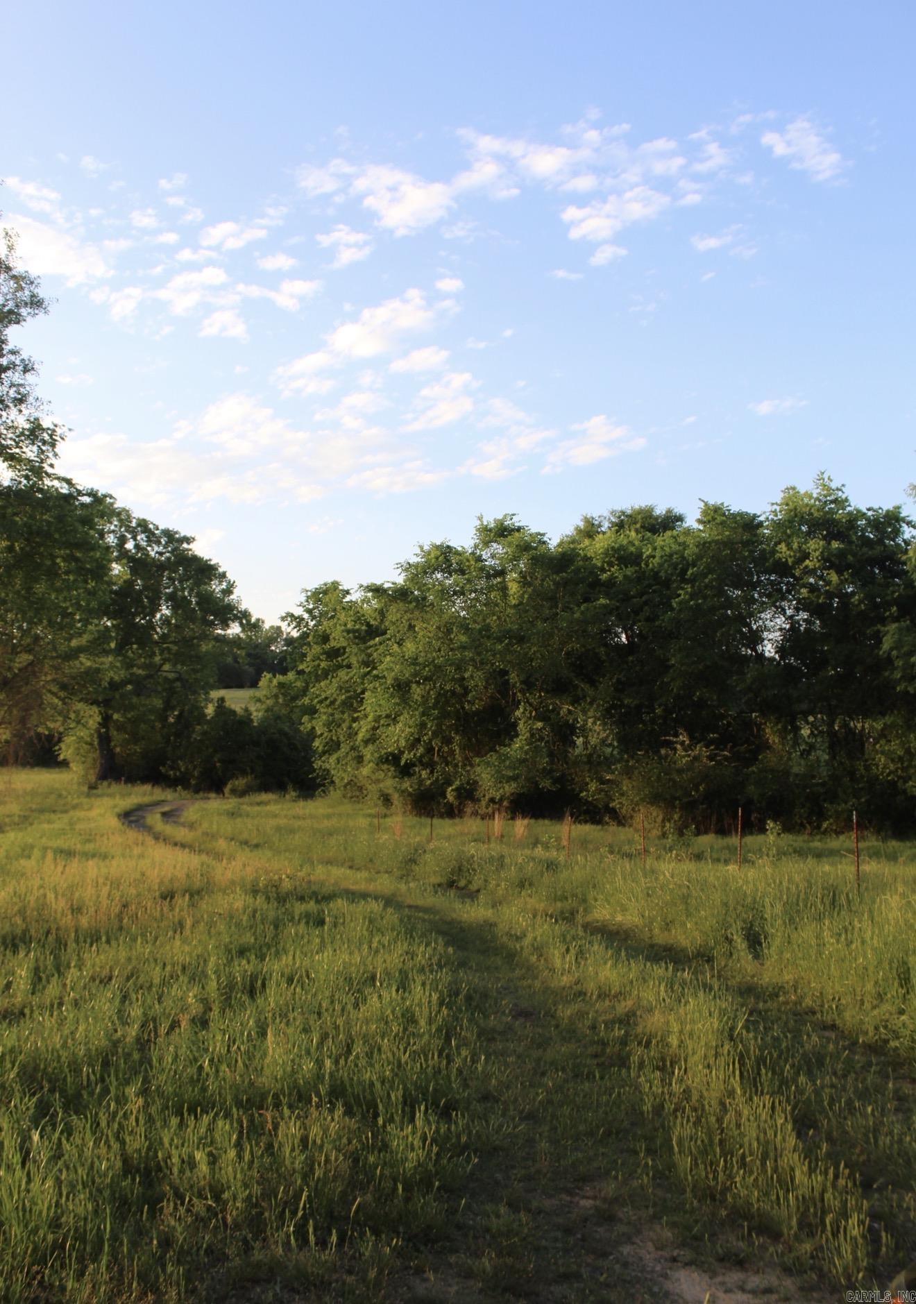 299 Harmony Lane tract 1 Amity, AR