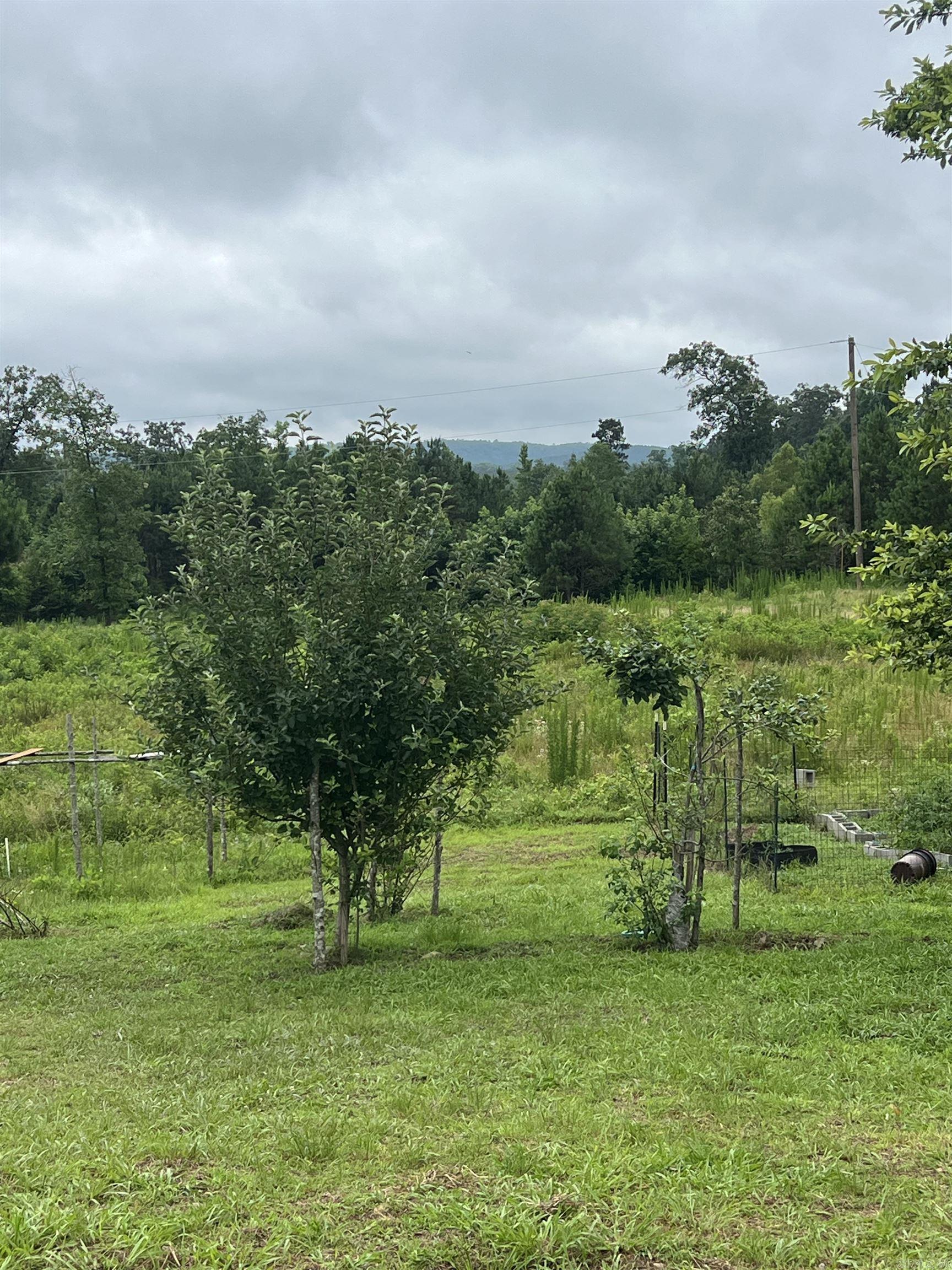 980 Sunflower  Bonnerdale, AR
