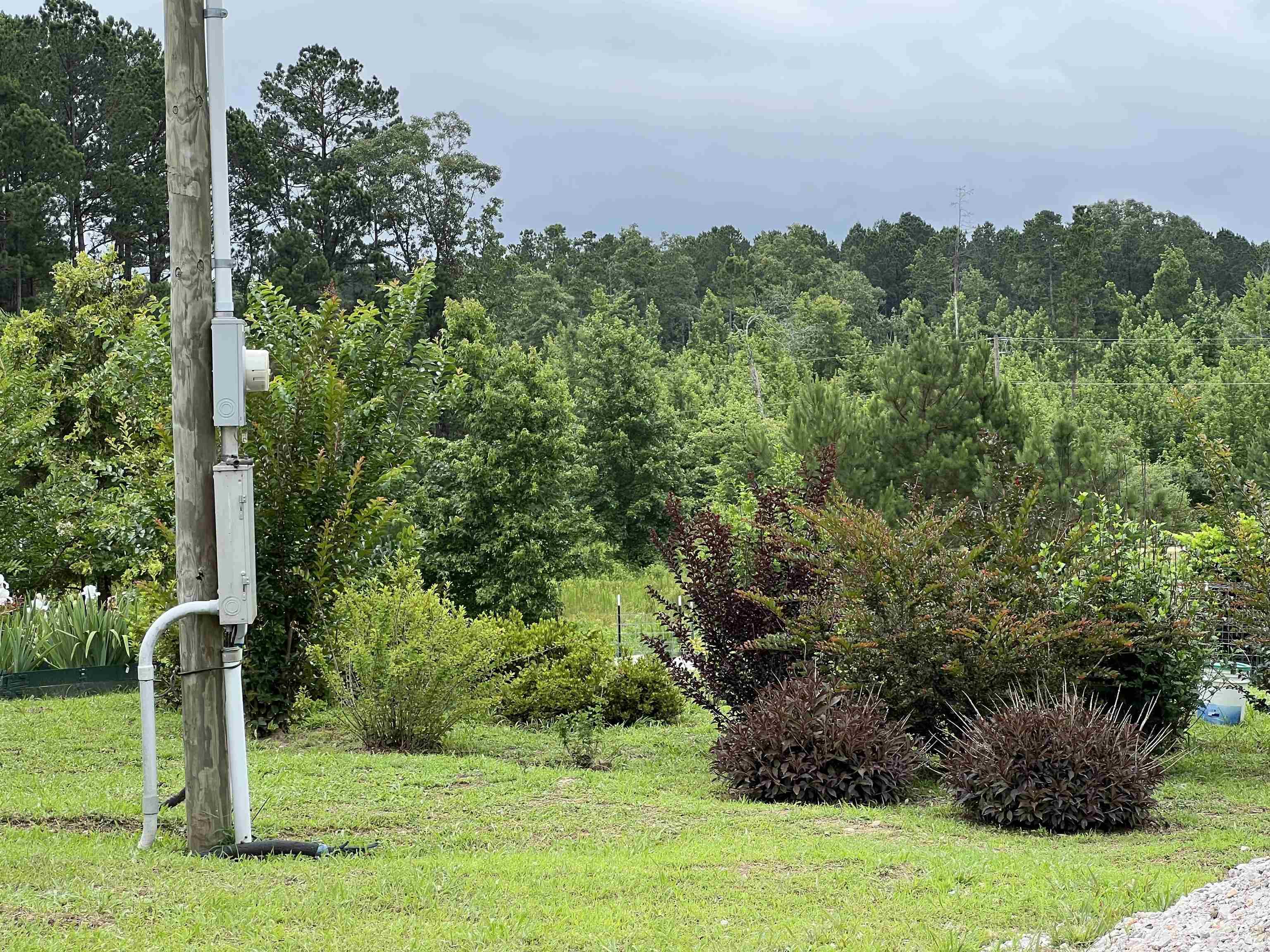 980 Sunflower  Bonnerdale, AR
