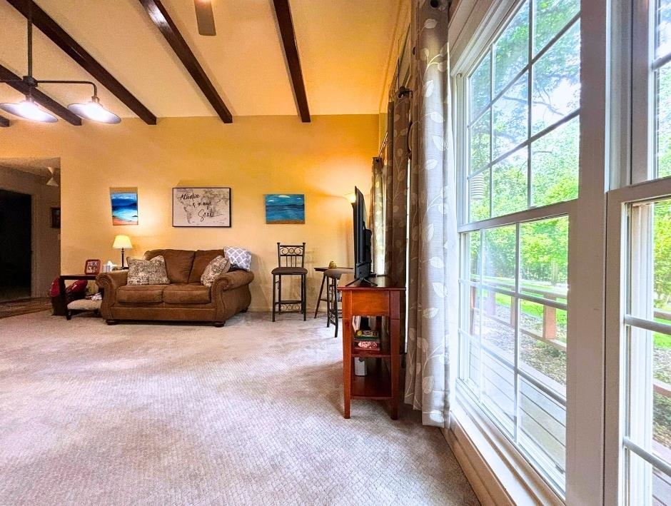 64 Cherokee  Cherokee Village, AR