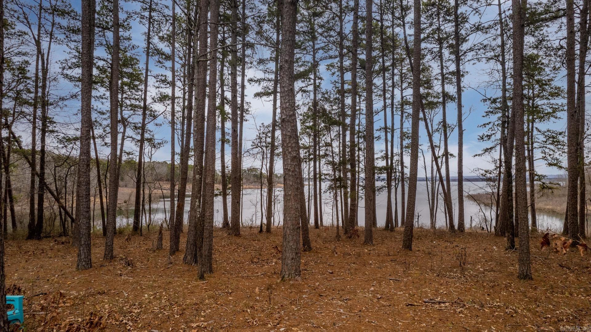 3195 Brownsville  Greers Ferry, AR
