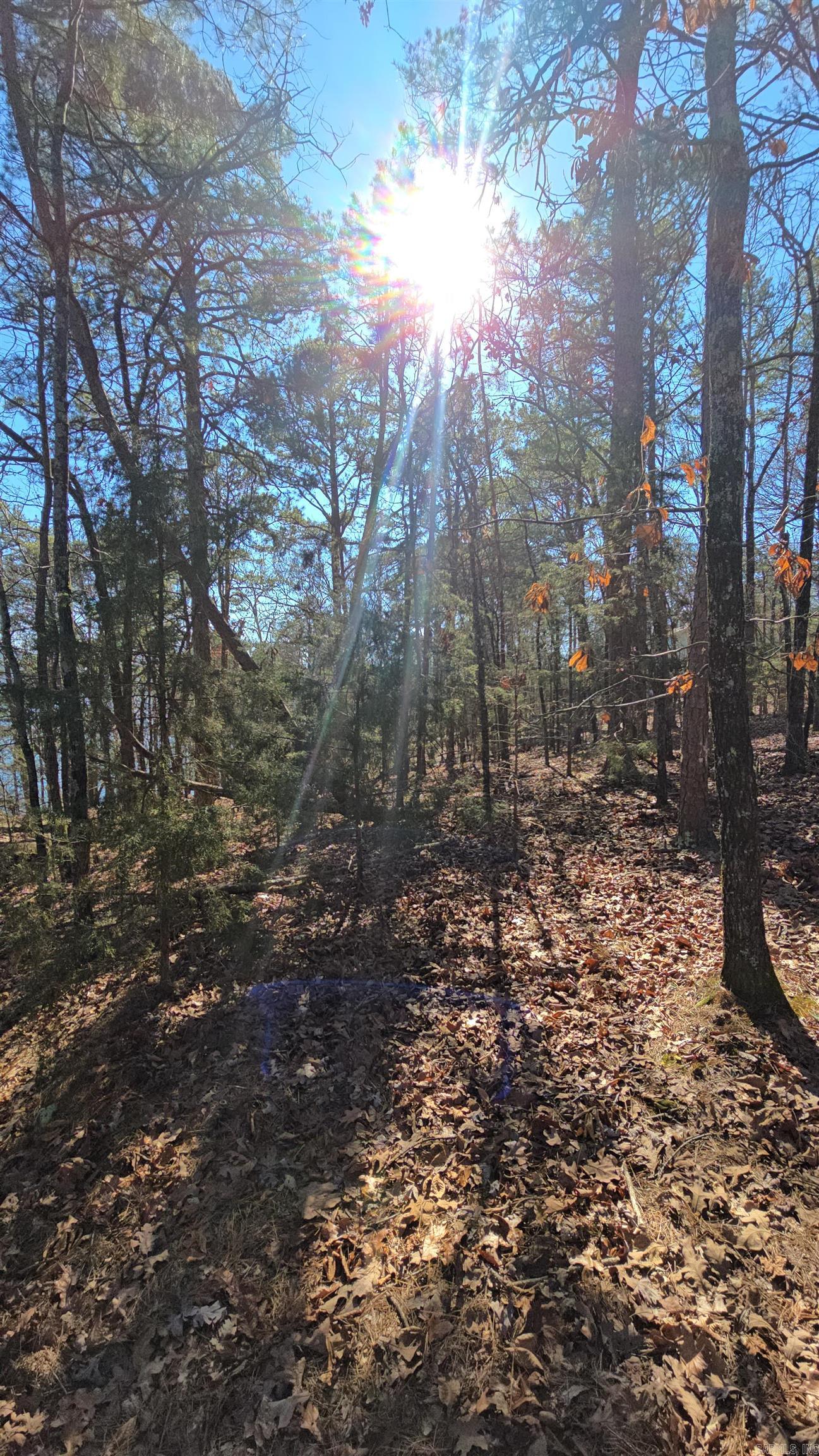 256 Lakeside  Fairfield Bay, AR