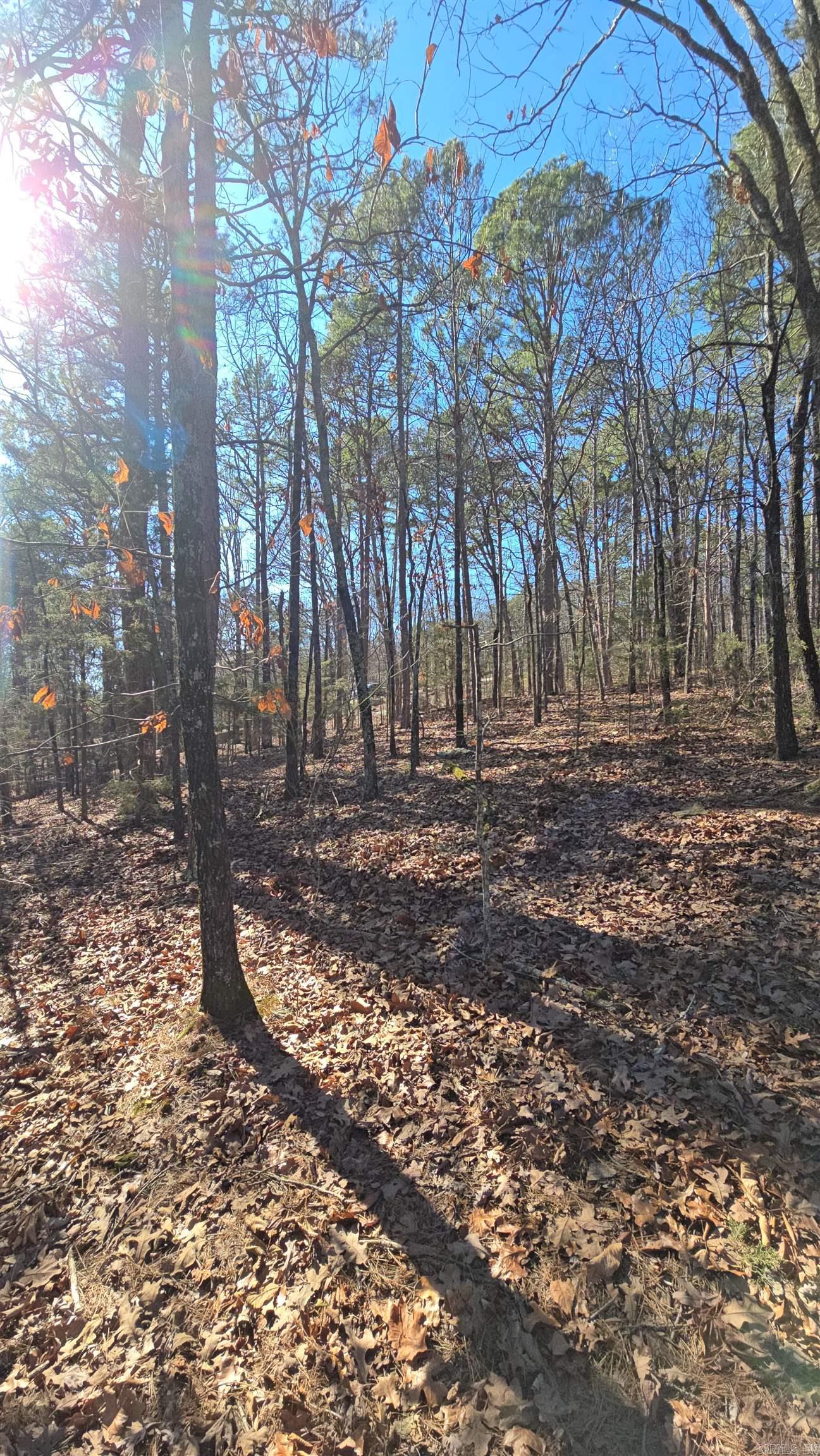 256 Lakeside  Fairfield Bay, AR