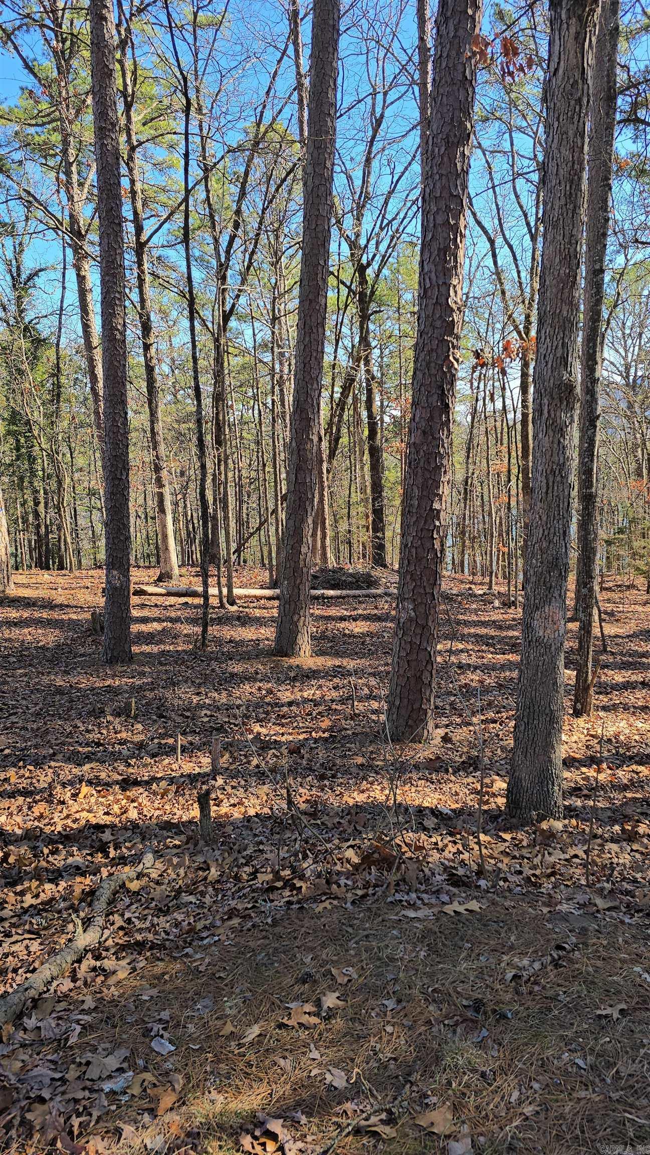 256 Lakeside  Fairfield Bay, AR